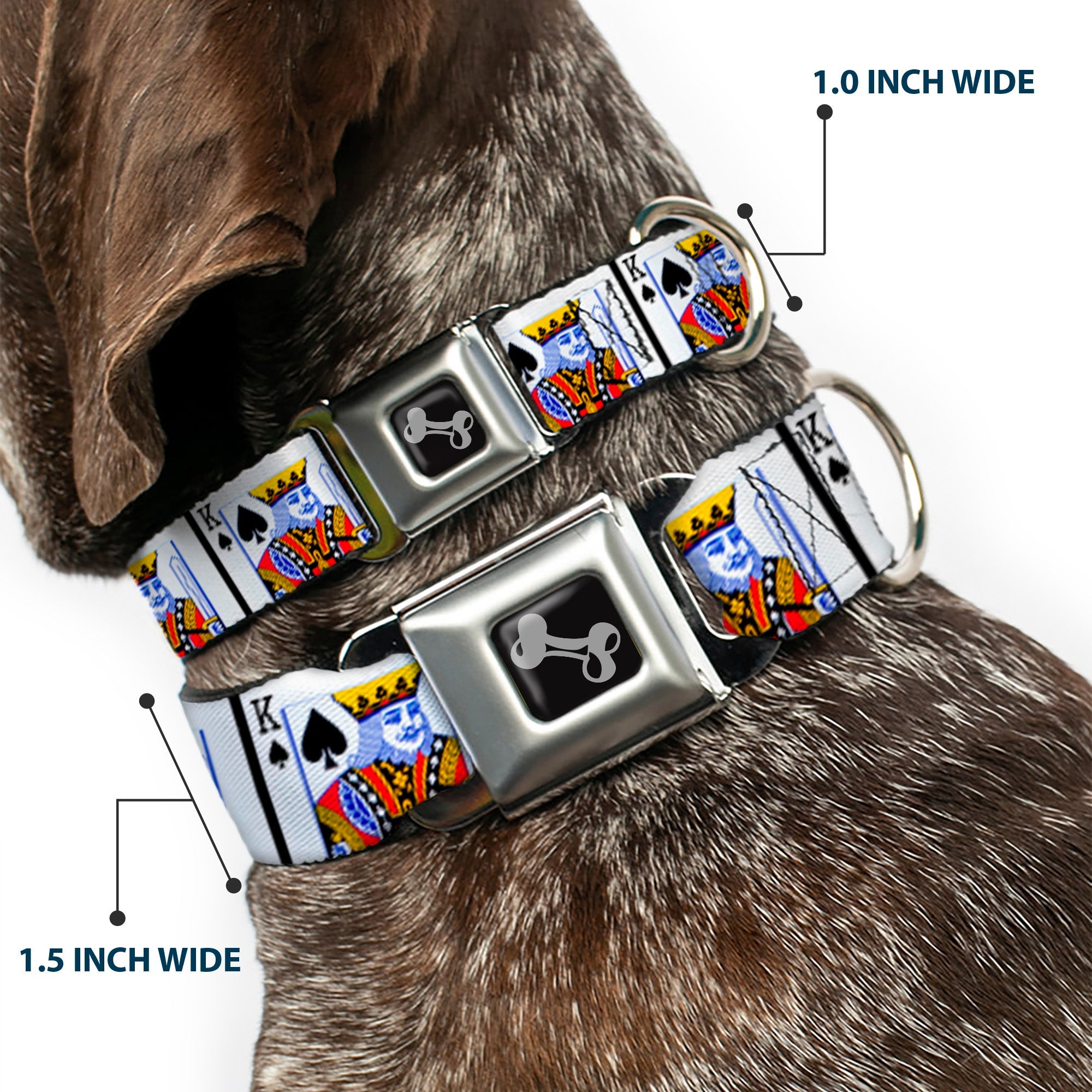 Dog Bone Seatbelt Buckle Collar - King of Spades