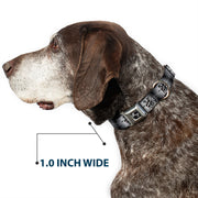 Dog Bone Seatbelt Buckle Collar - King Skull Blocks/Rays Grays
