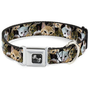 Dog Bone Seatbelt Buckle Collar - Kitten Faces Scattered Black