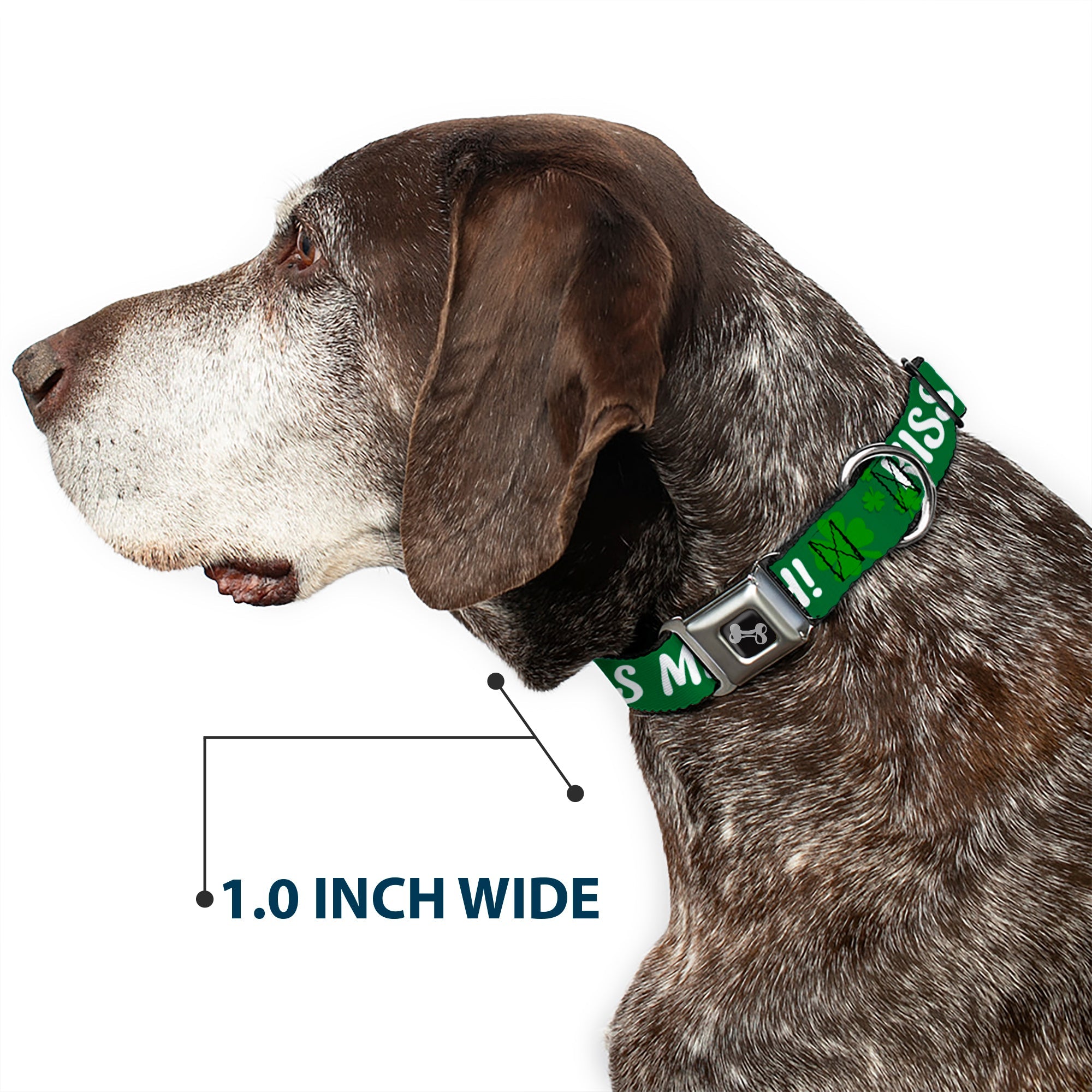Dog Bone Seatbelt Buckle Collar - KISS ME, I'M IRISH! Clovers Green/White