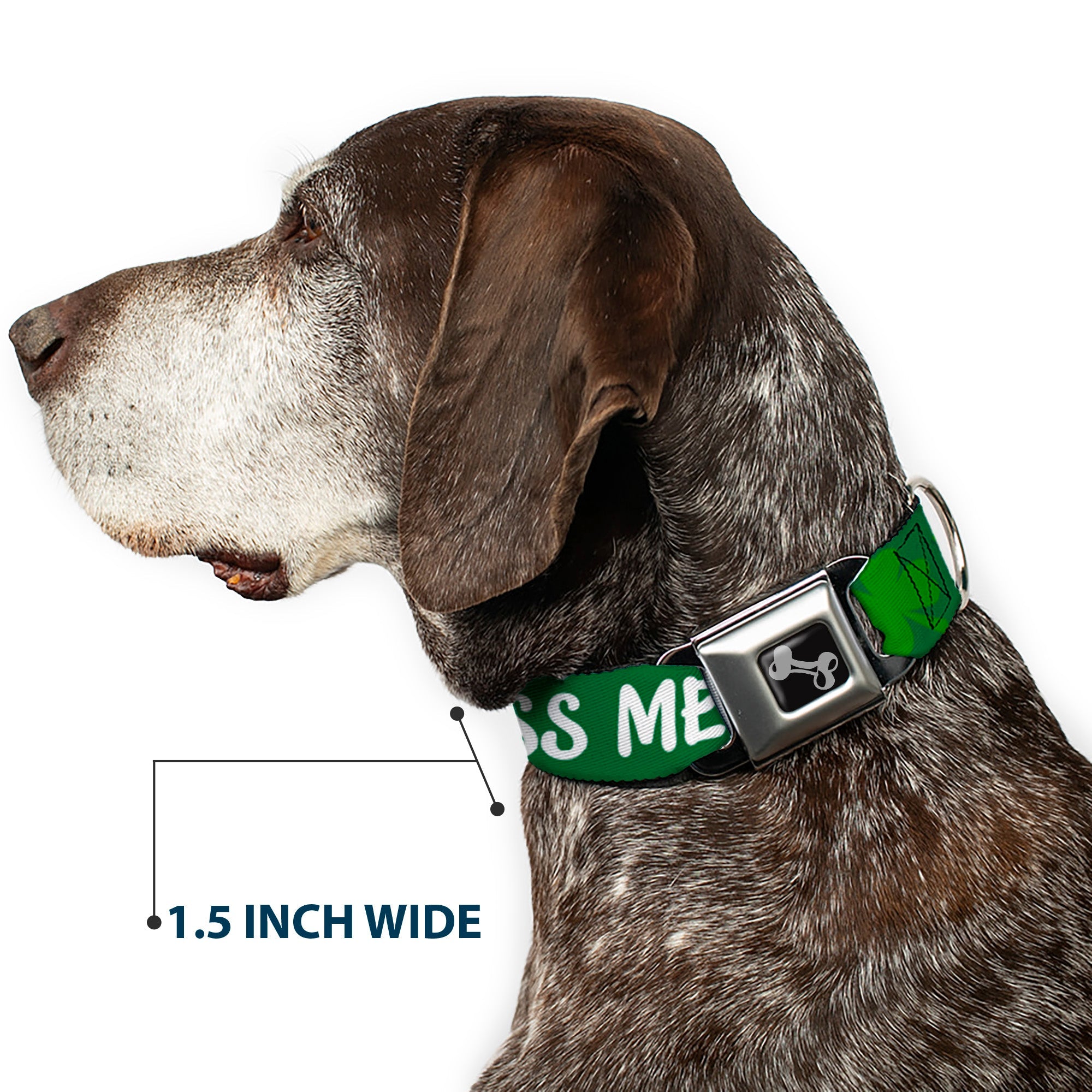 Dog Bone Seatbelt Buckle Collar - KISS ME, I'M IRISH! Clovers Green/White