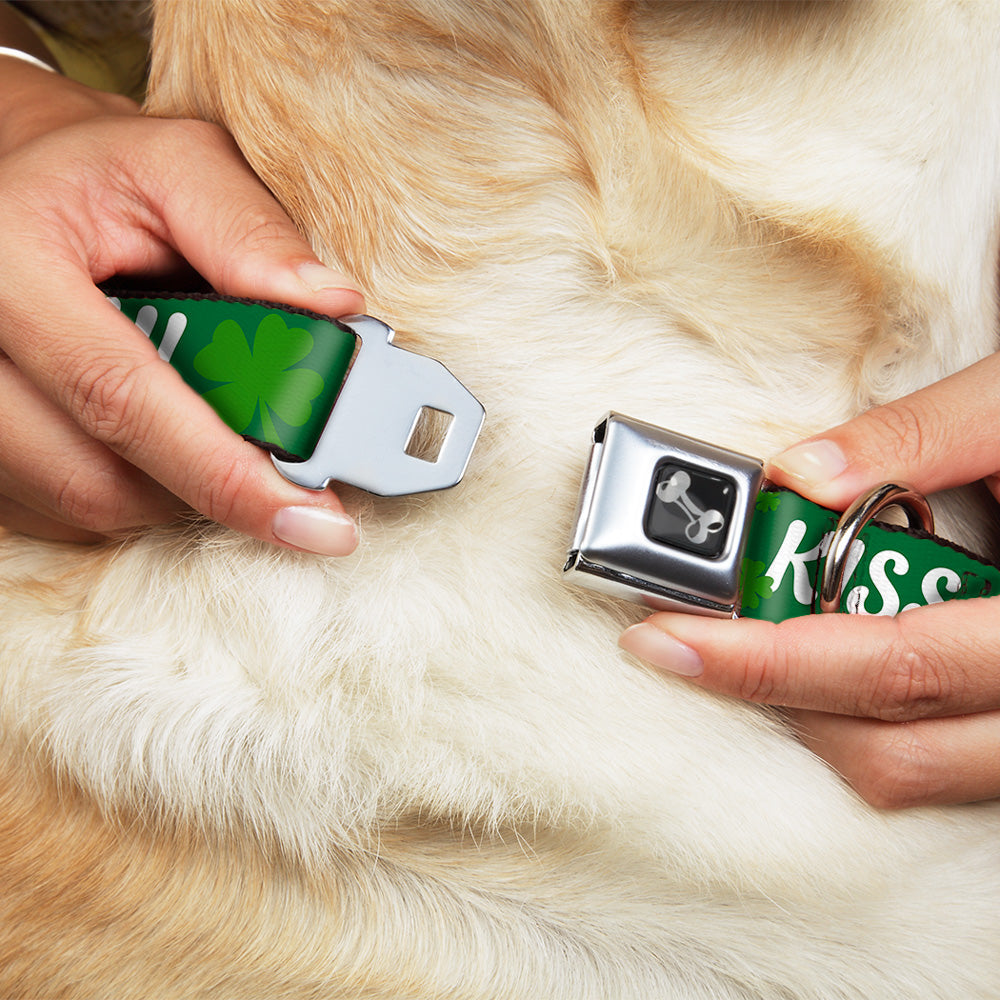 Dog Bone Seatbelt Buckle Collar - KISS ME, I'M IRISH! Clovers Green/White