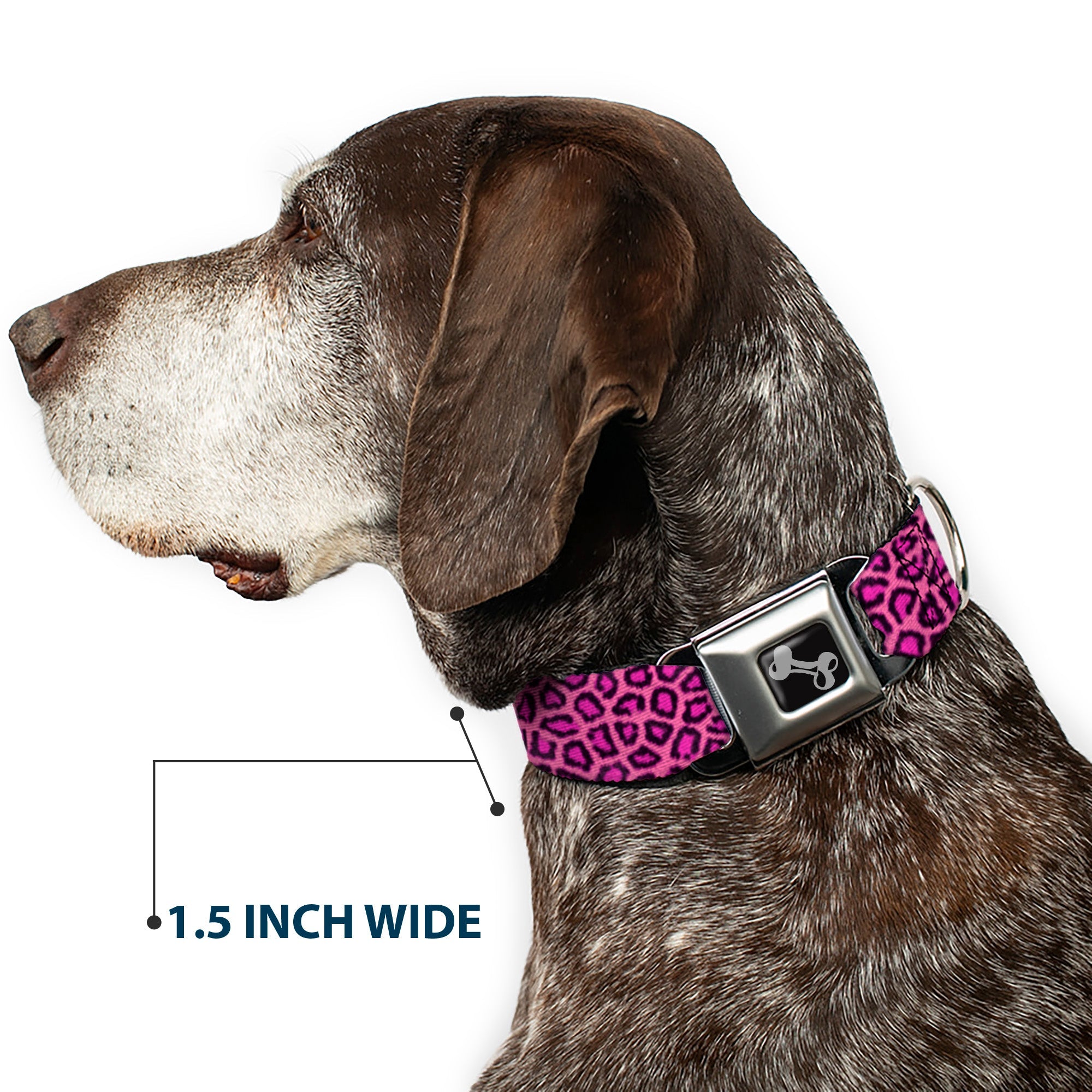 Dog Bone Seatbelt Buckle Collar - Leopard Pink Fuchsia