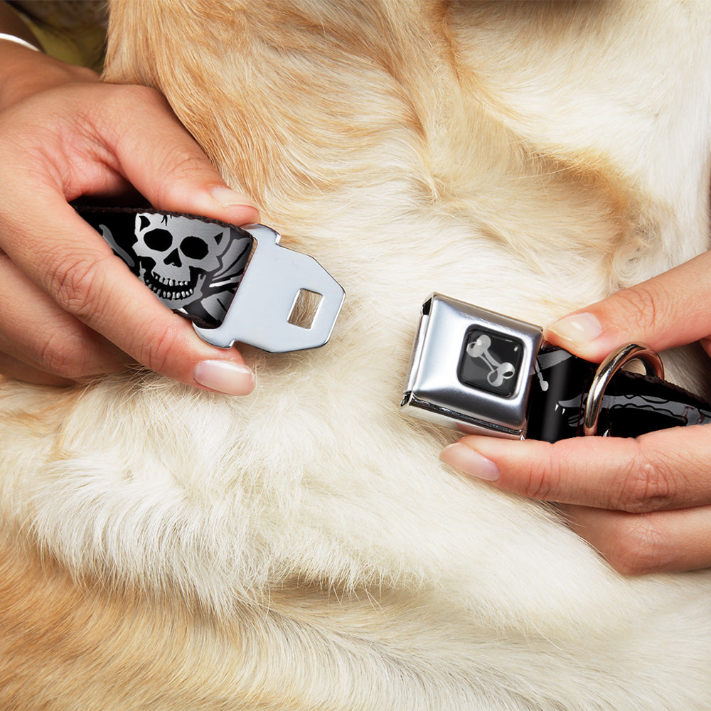 Dog Bone Seatbelt Buckle Collar - Live Hard Die Young Black/White