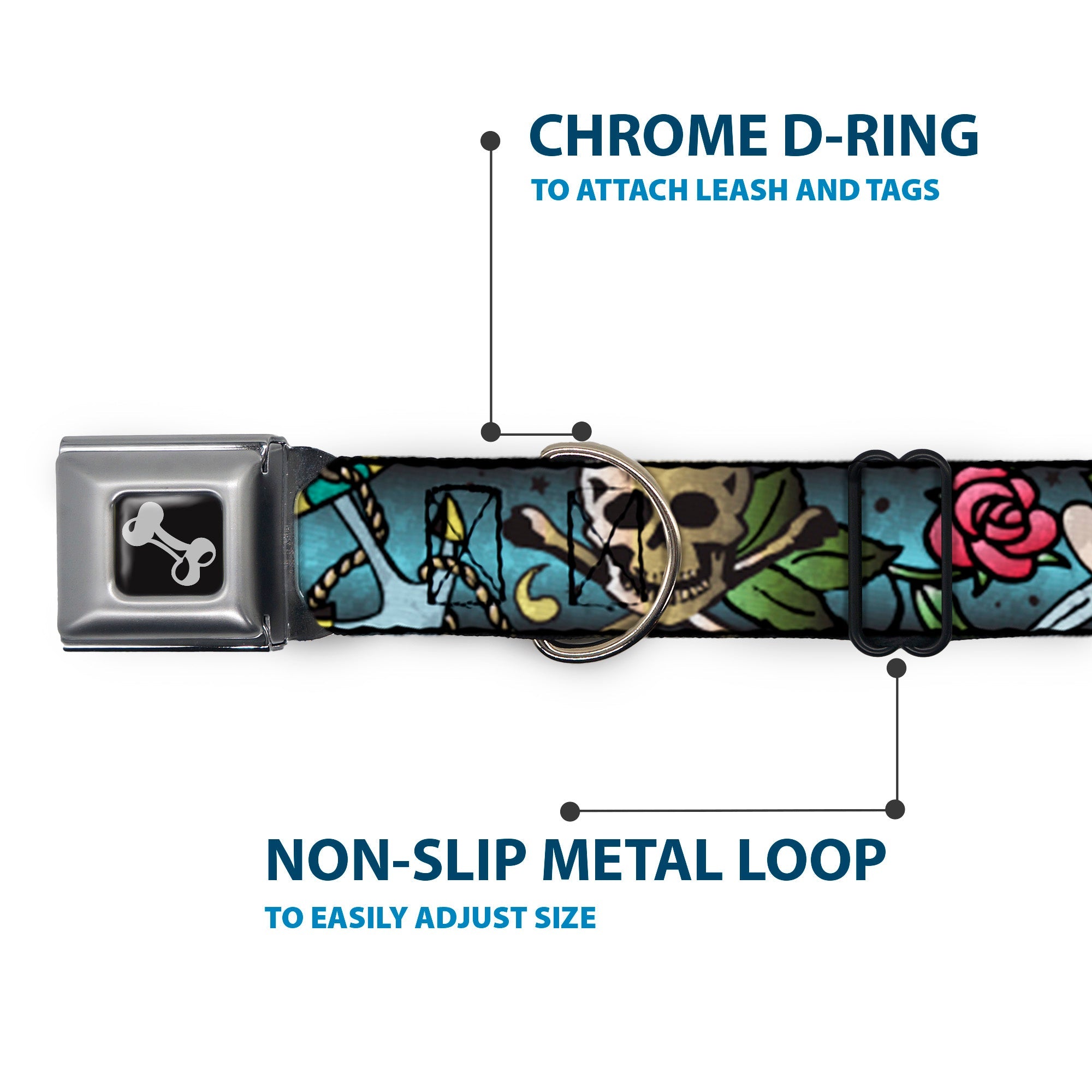 Dog Bone Seatbelt Buckle Collar - Live Hard Die Young CLOSE-UP Turquoise
