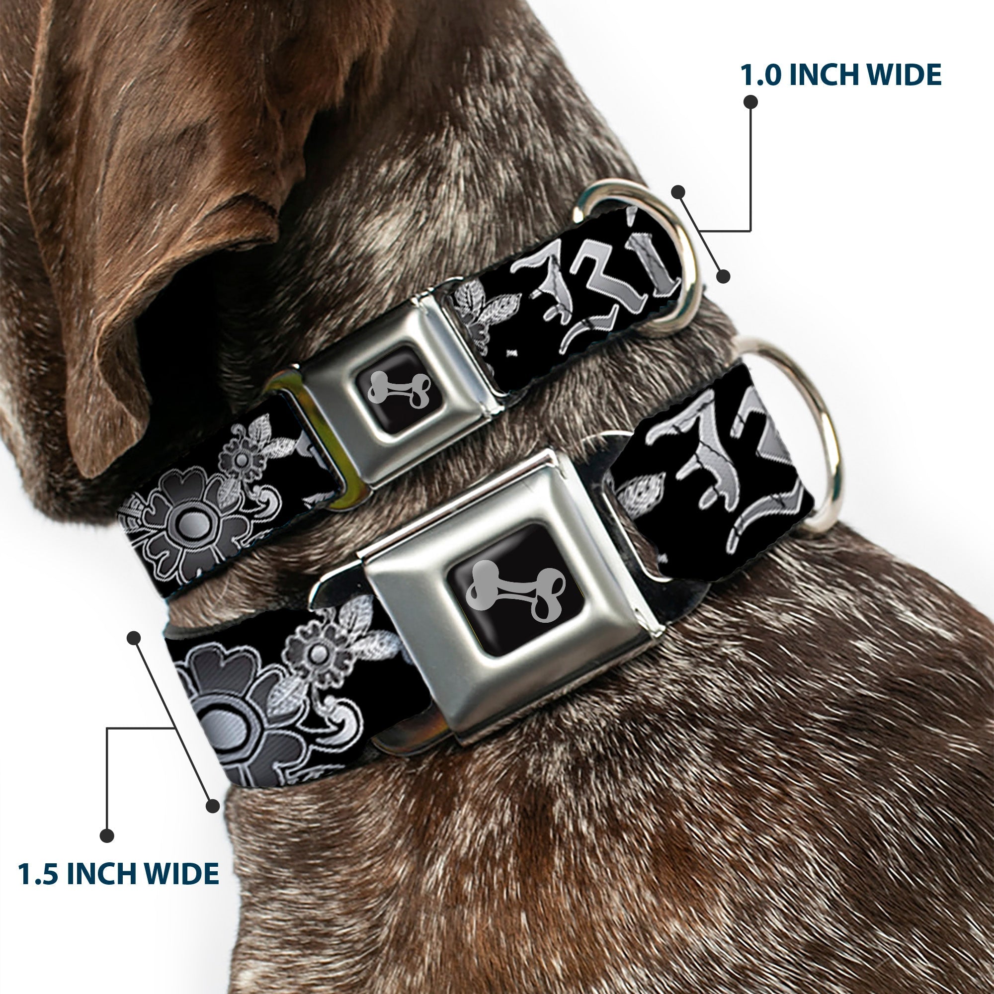 Dog Bone Seatbelt Buckle Collar - Love Kills Black/White