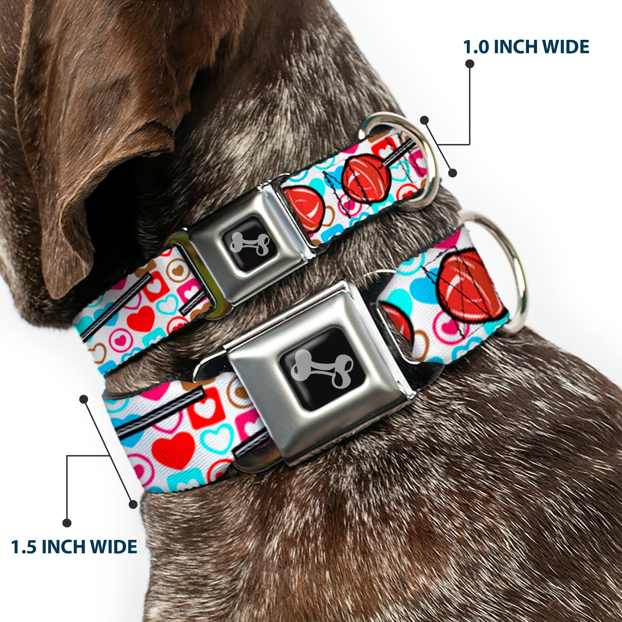 Dog Bone Seatbelt Buckle Collar - Lollipop Hearts White
