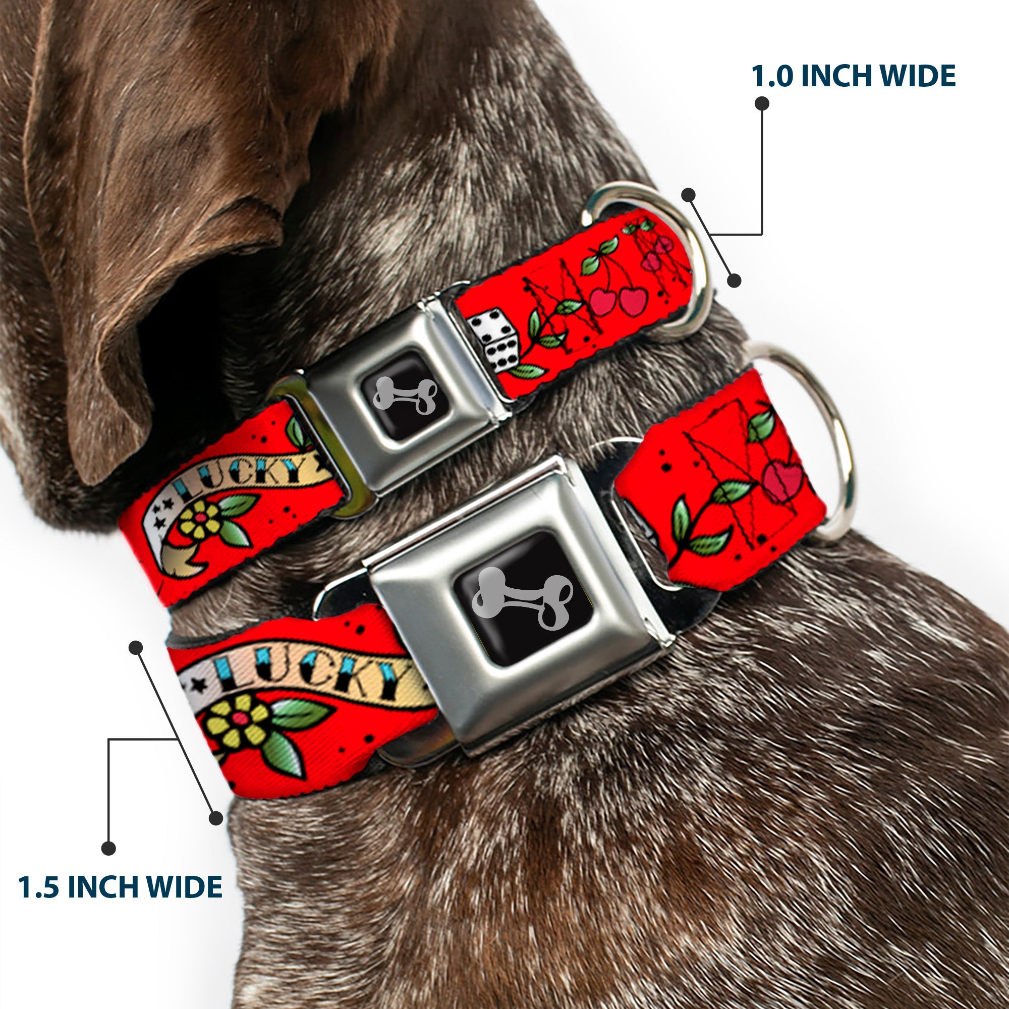 Dog Bone Seatbelt Buckle Collar - Lucky Red