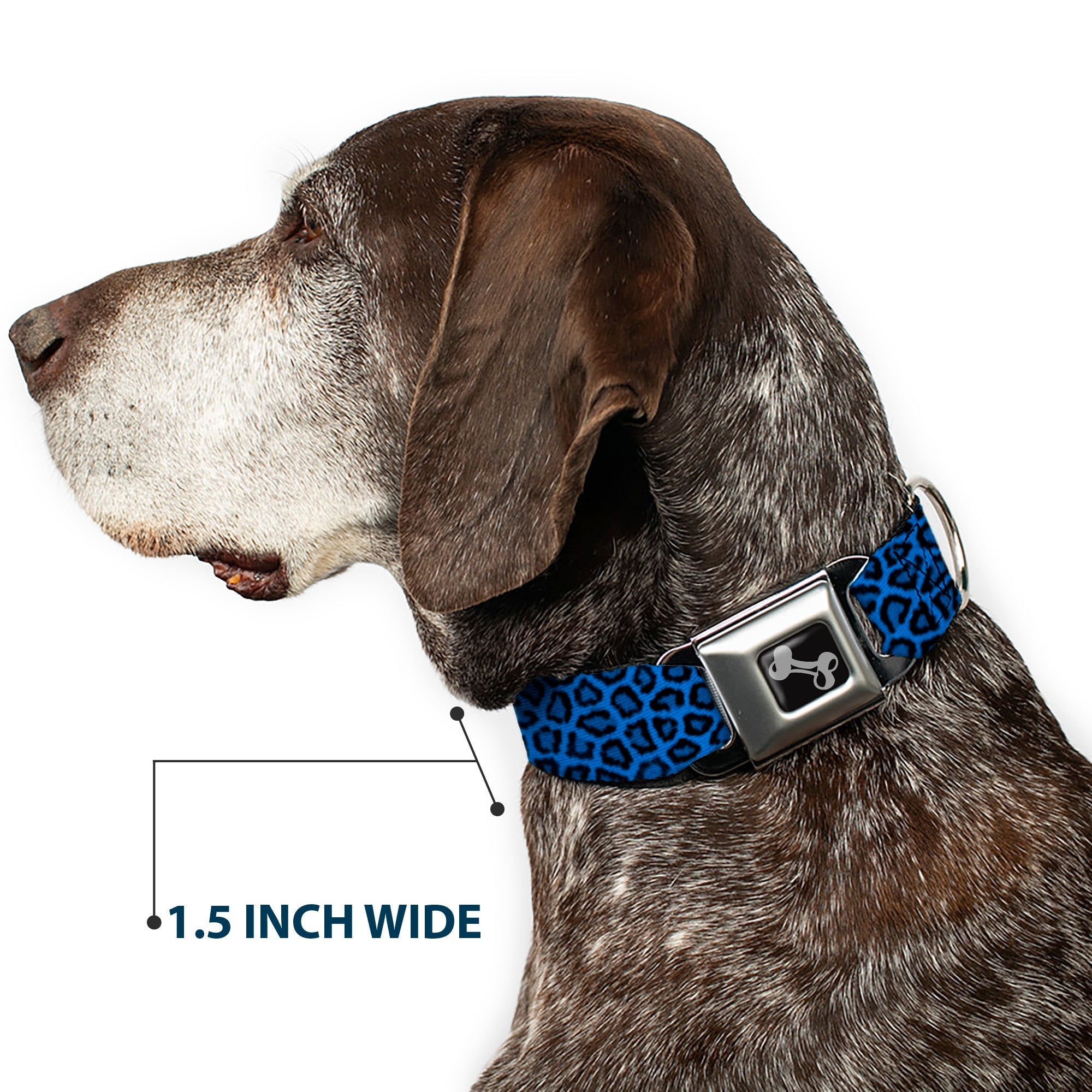 Dog Bone Seatbelt Buckle Collar - Leopard Turquoise