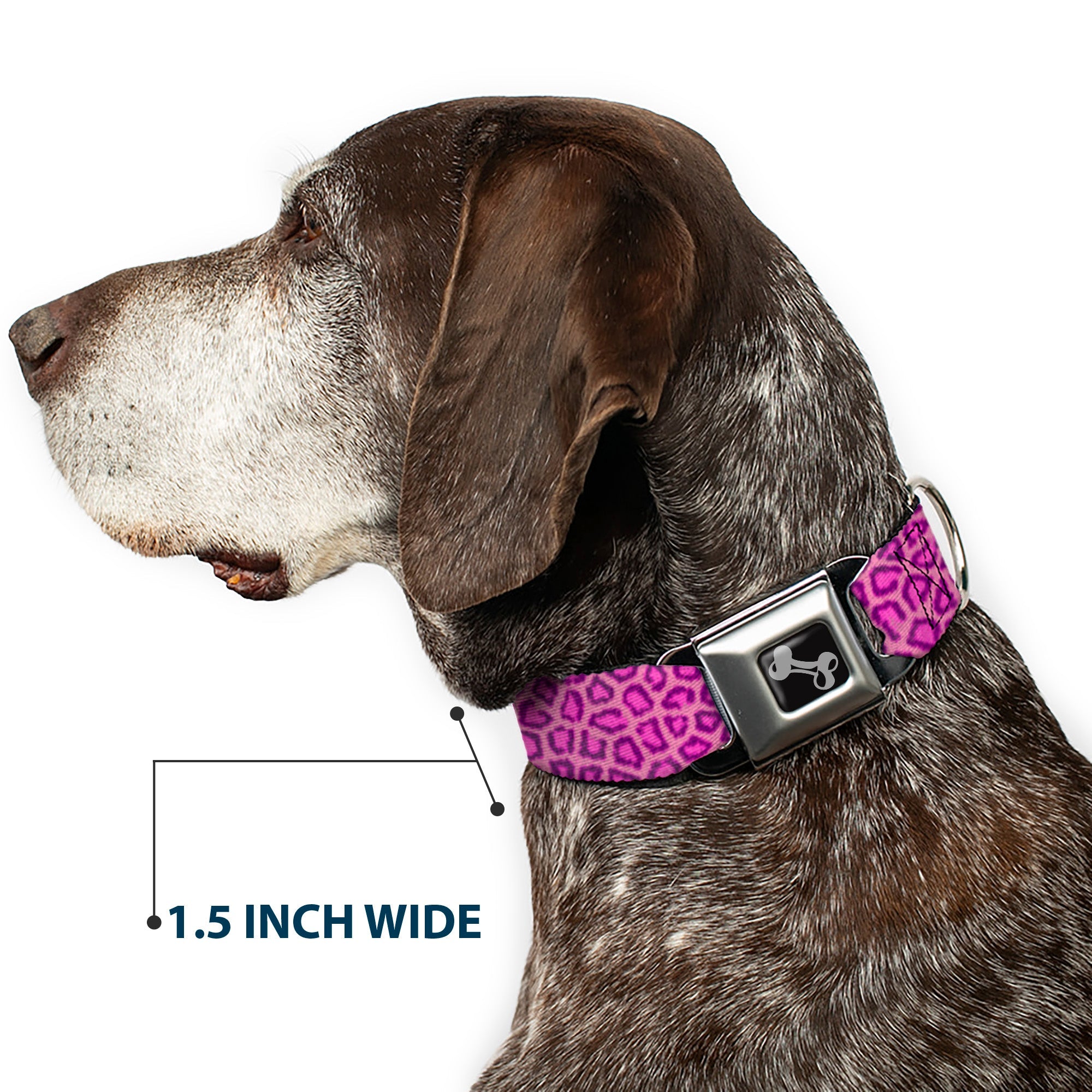 Dog Bone Seatbelt Buckle Collar - Leopard Baby Pink