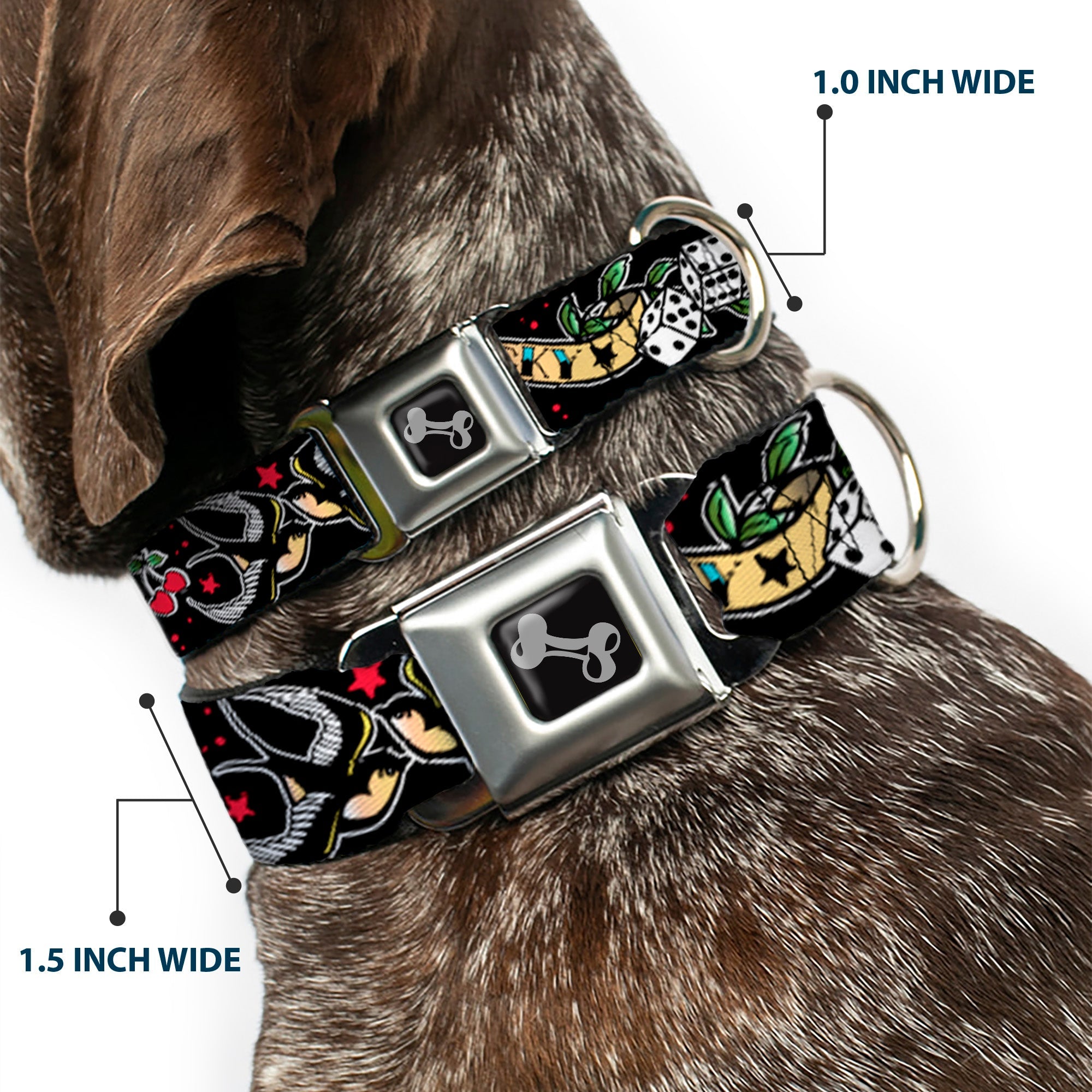 Dog Bone Seatbelt Buckle Collar - Lucky Black