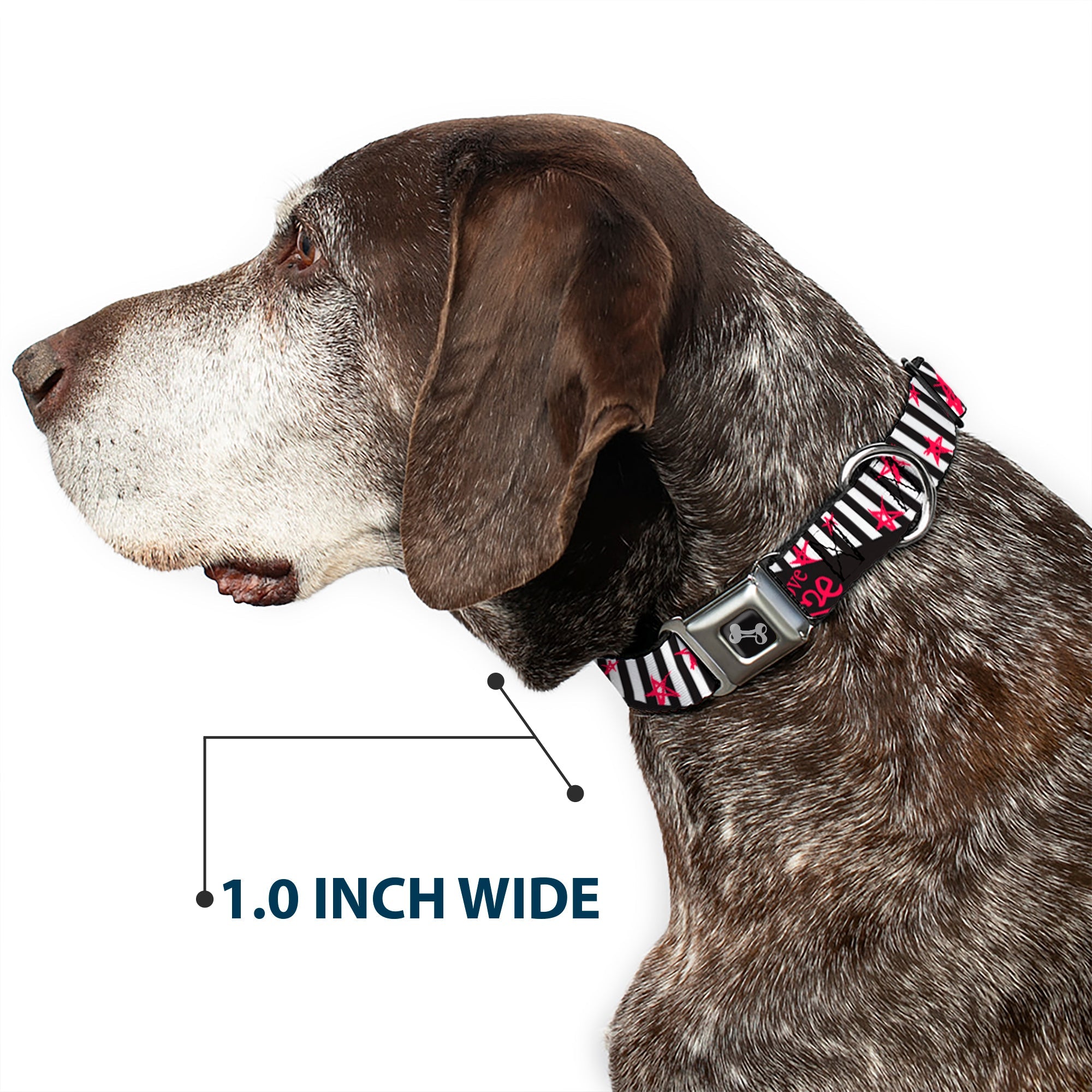 Dog Bone Black/Silver Seatbelt Buckle Collar - Love Me w/Sketch Stars & Stripes Black/White/Fuchsia