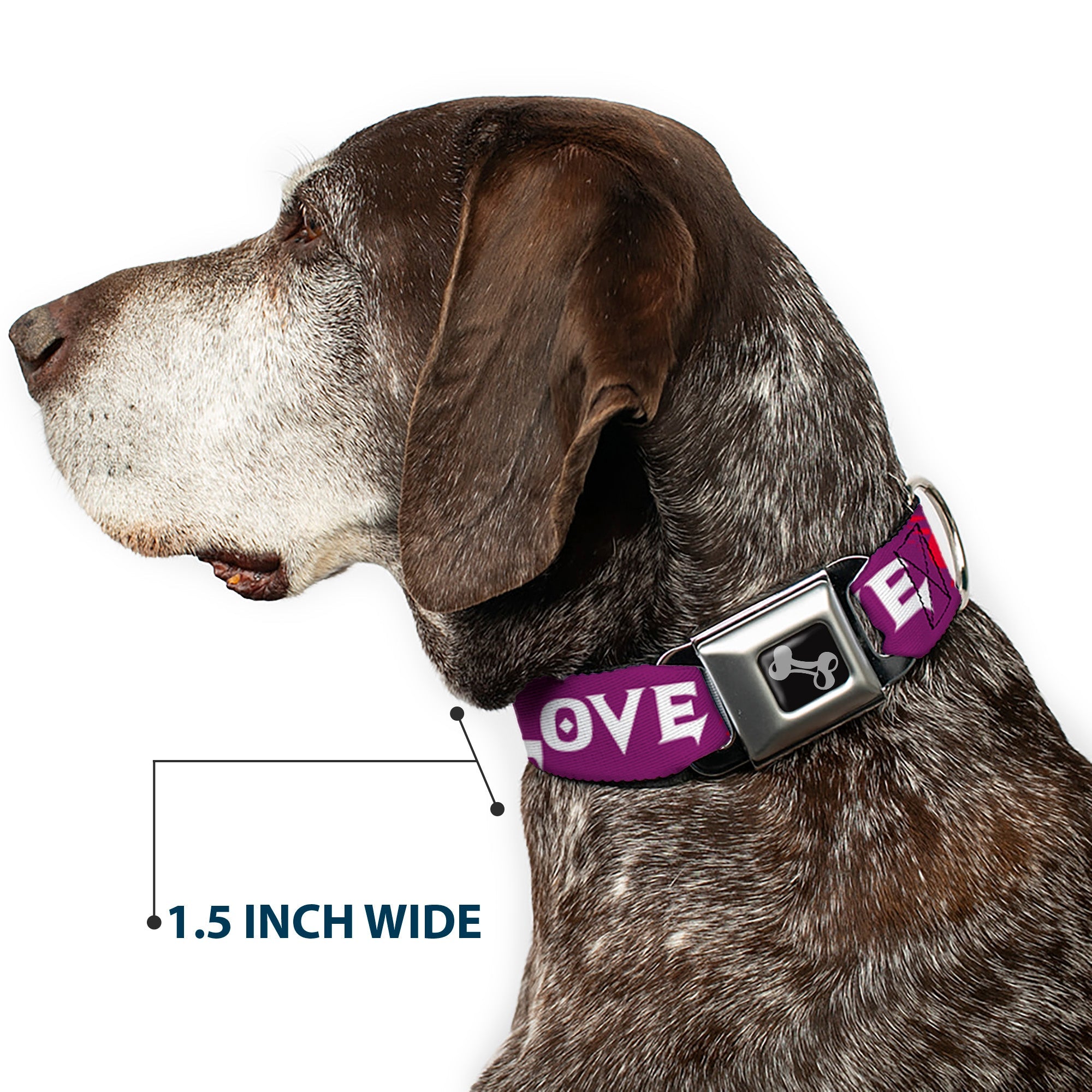 Dog Bone Seatbelt Buckle Collar - Love/Hate Purple/White/Fuchsia