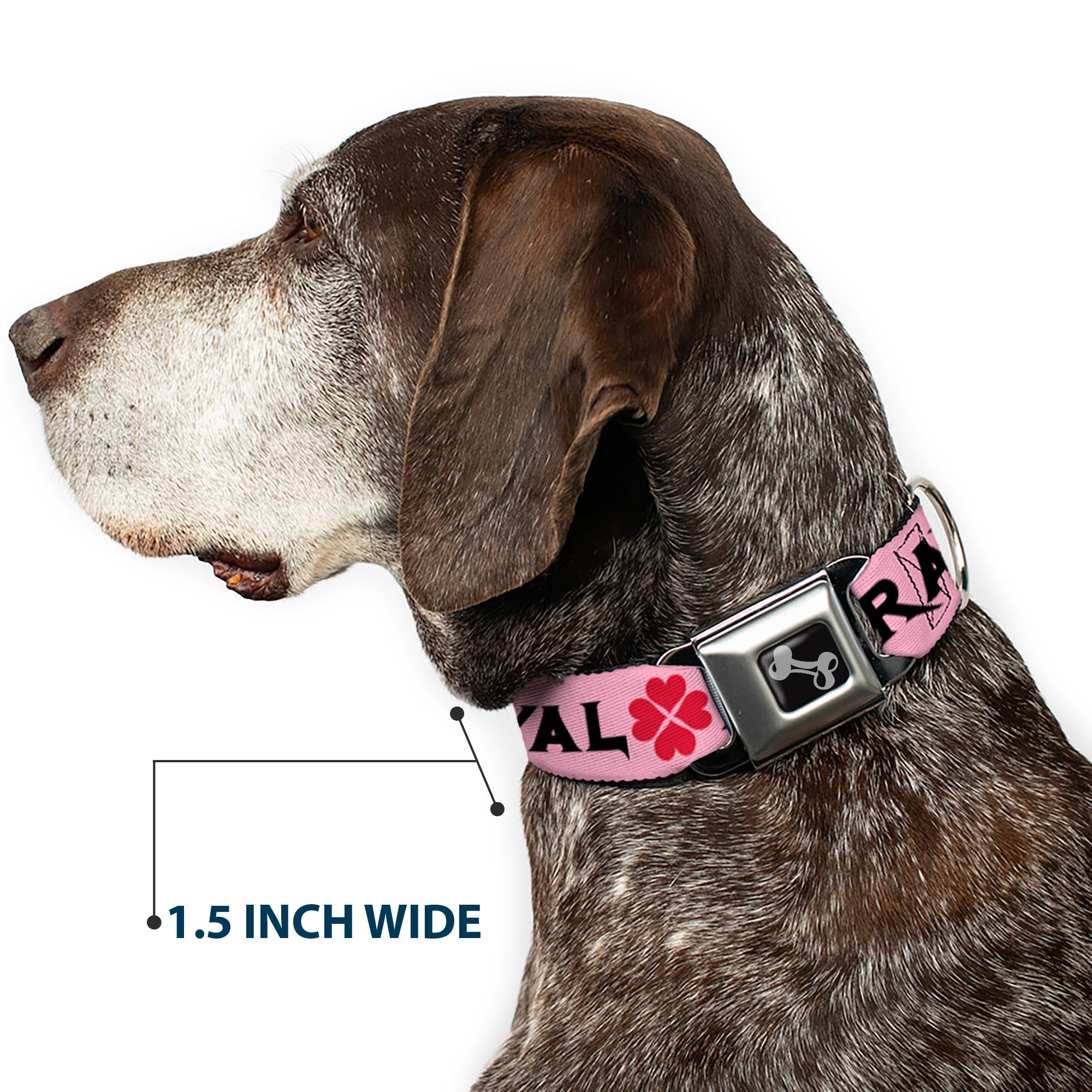 Dog Bone Seatbelt Buckle Collar - Love/Hate/Betrayal Pink/Black/Fuchsia