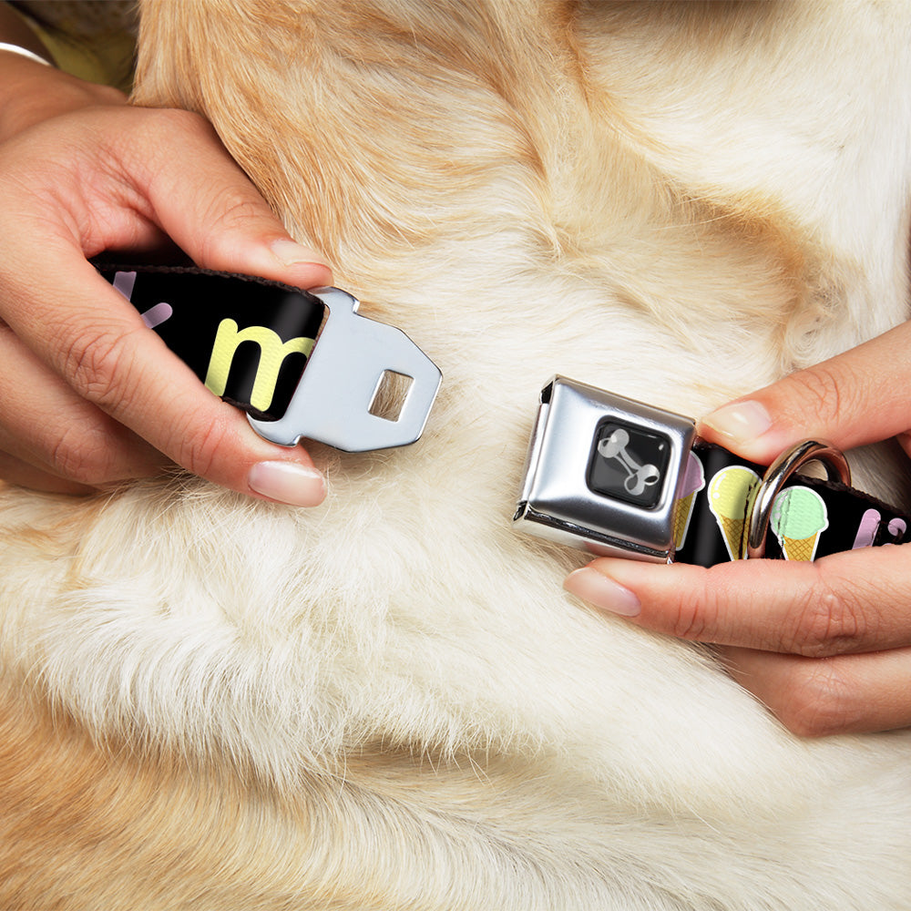 Buckle-Down Seatbelt Buckle Dog Collar - LICK ME Ice Cream Cones