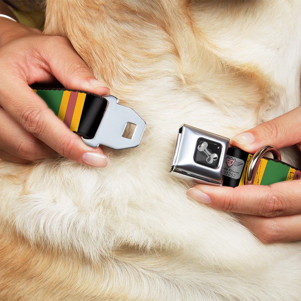 Dog Bone Seatbelt Buckle Collar - Lines Black/Gold/Pink/Green