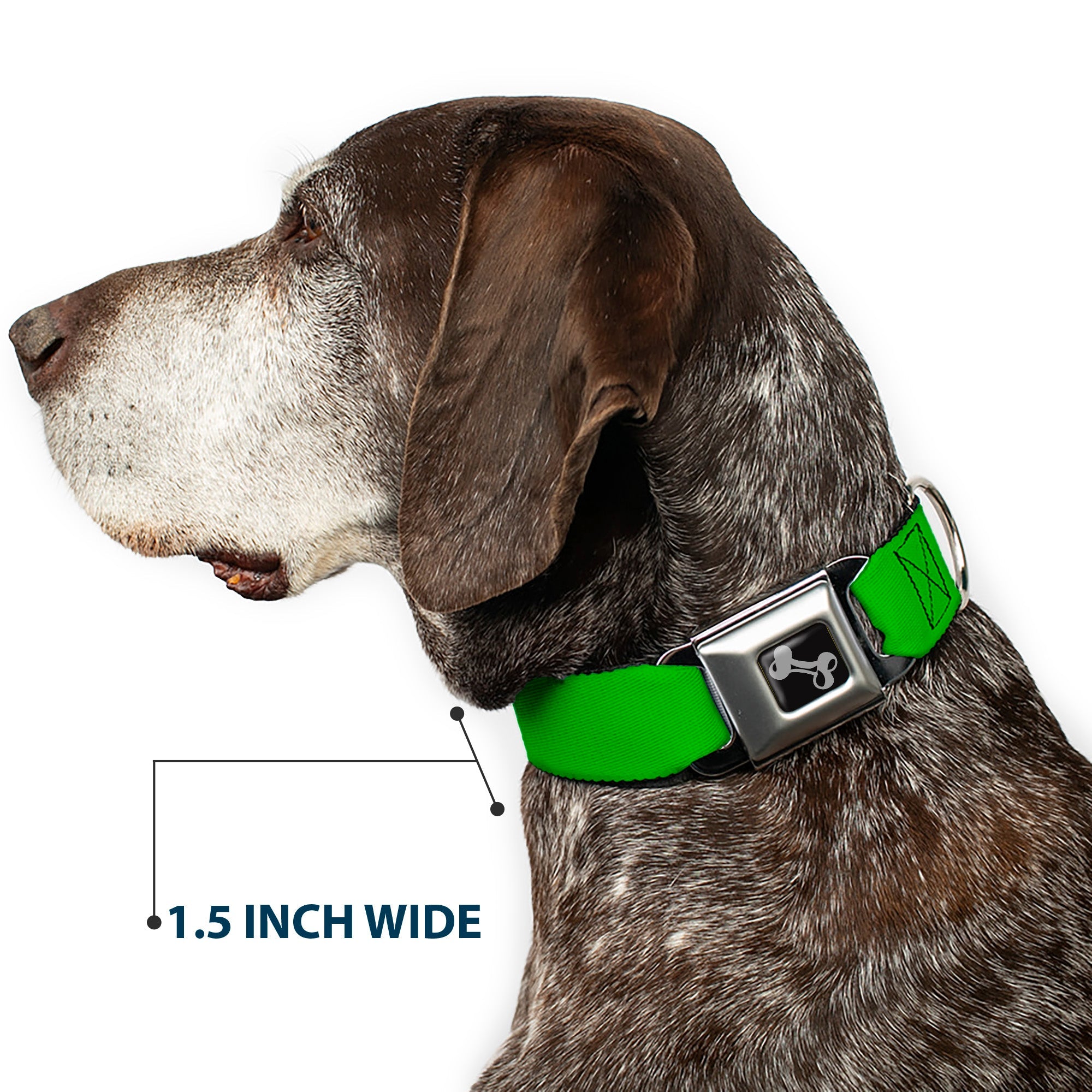 Dog Bone Seatbelt Buckle Collar - Lime Green