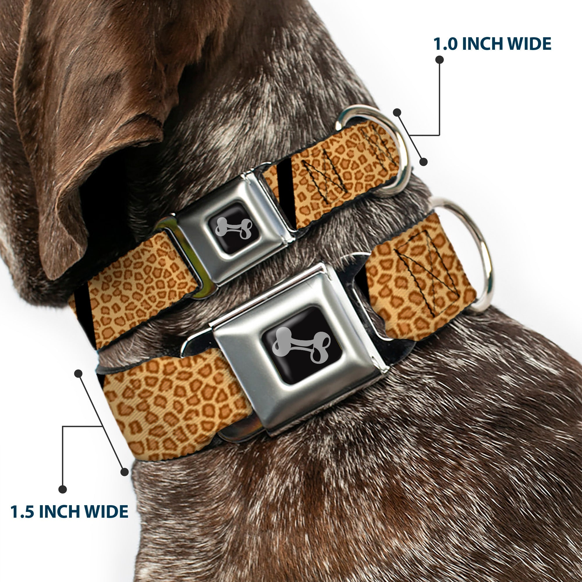 Dog Bone Seatbelt Buckle Collar - Leopard Brown/Black Slash