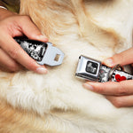Buckle-Down Seatbelt Buckle Dog Collar - LOS F*CKIN' ANGELES Heart Weathered White/Black/Red