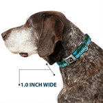 Dog Bone Seatbelt Buckle Collar - Landscape Beach Palm Trees