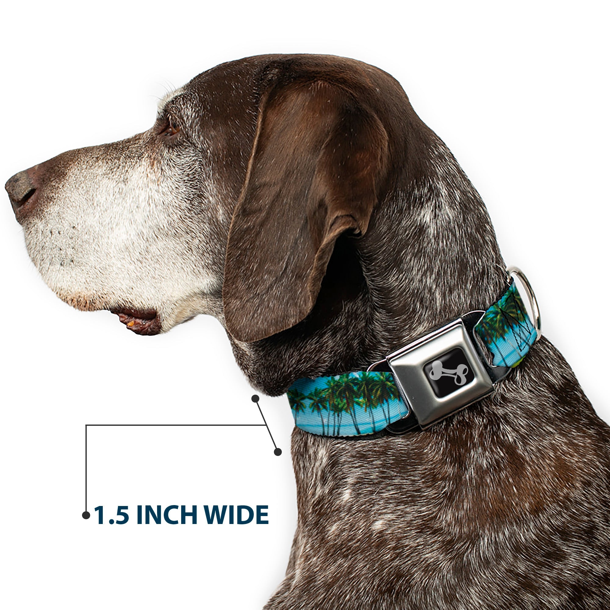 Dog Bone Seatbelt Buckle Collar - Landscape Beach Palm Trees