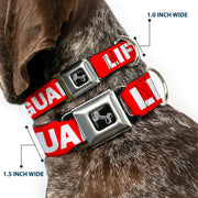 Dog Bone Seatbelt Buckle Collar - LIFEGUARD/Logo Red/White