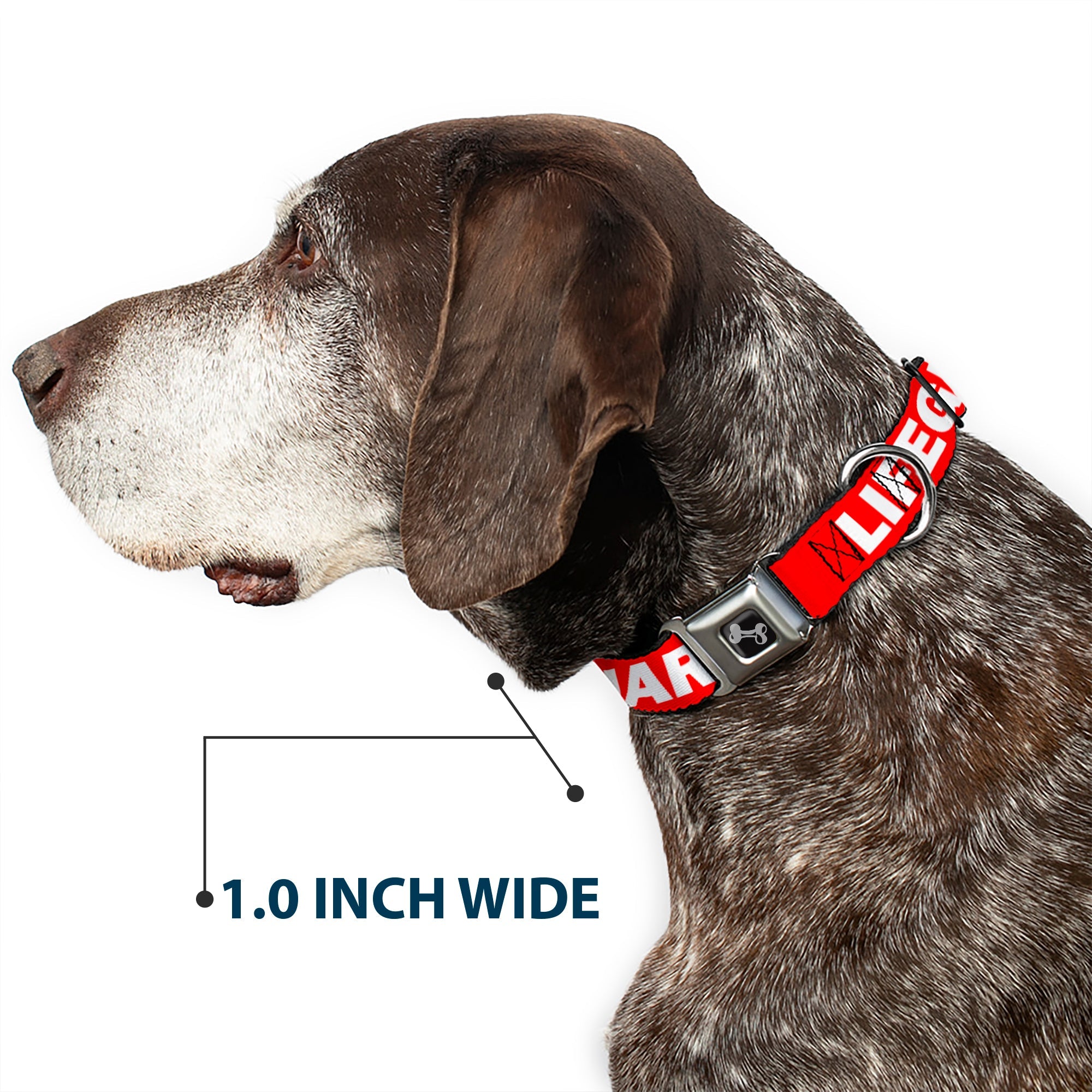 Dog Bone Seatbelt Buckle Collar - LIFEGUARD/Logo Red/White