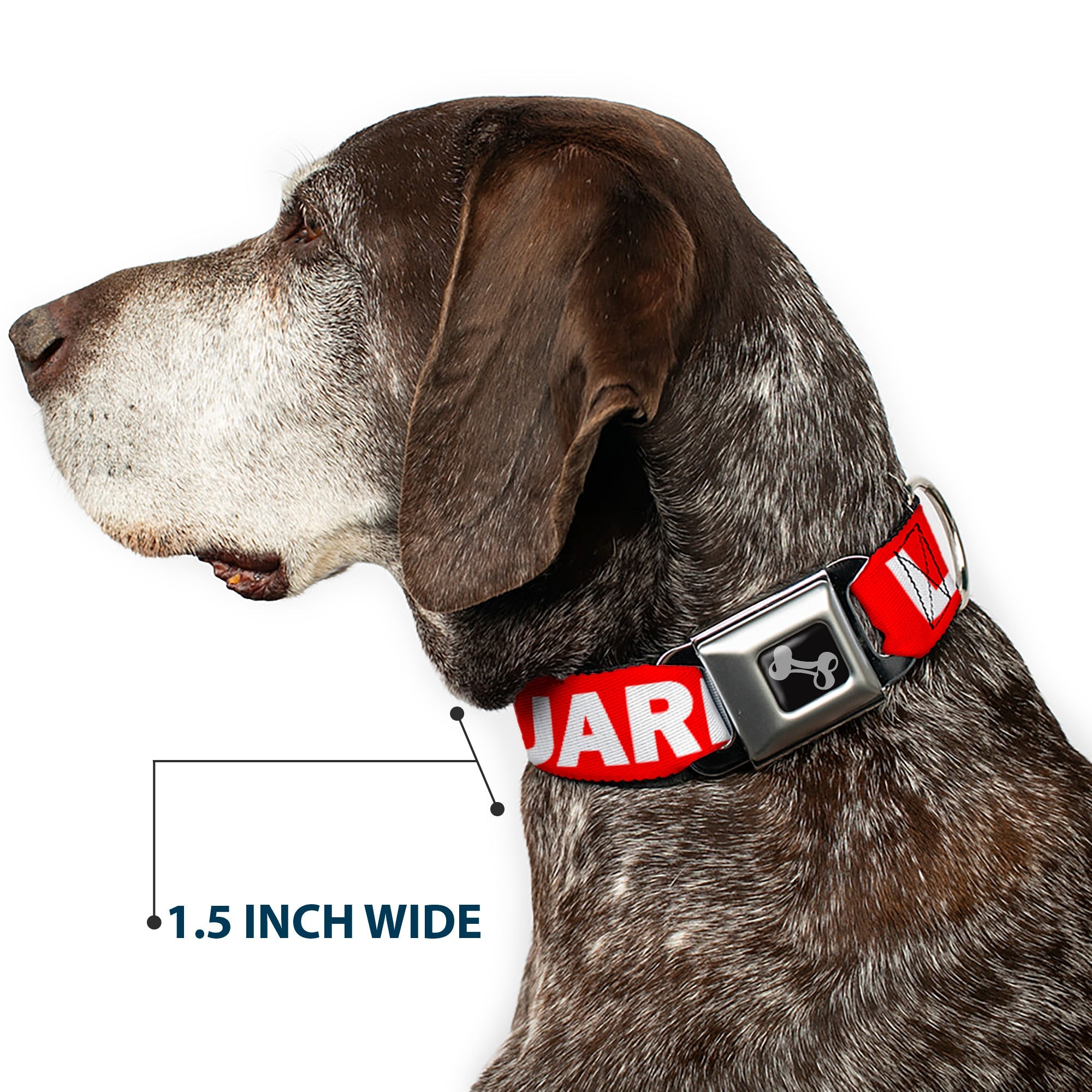 Dog Bone Seatbelt Buckle Collar - LIFEGUARD/Logo Red/White