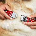 Load image into Gallery viewer, Dog Bone Seatbelt Buckle Collar - LIFEGUARD/Logo Red/White
