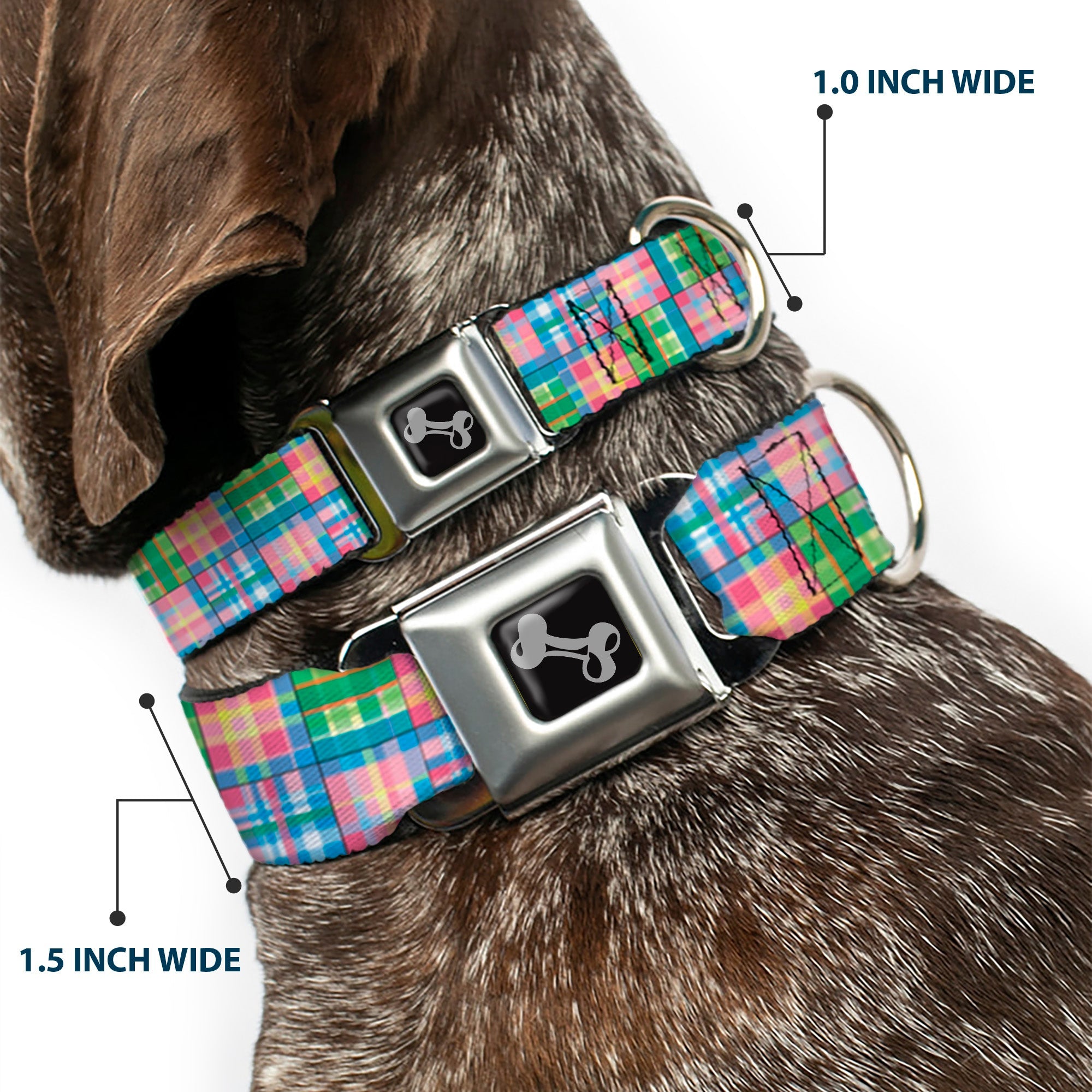 Southlake Paws Dog Bone Seatbelt Buckle Collar in Madras Plaid Pink features a colorful plaid design with a seatbelt buckle.