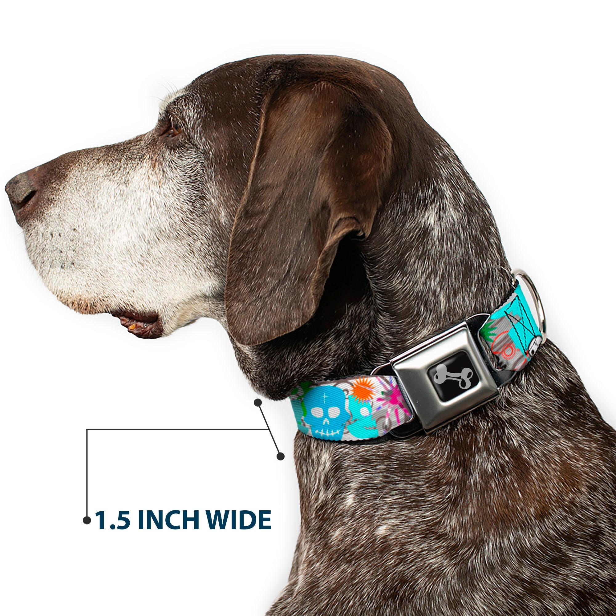 Dog Bone Seatbelt Buckle Collar - Music Skulls Multi Color