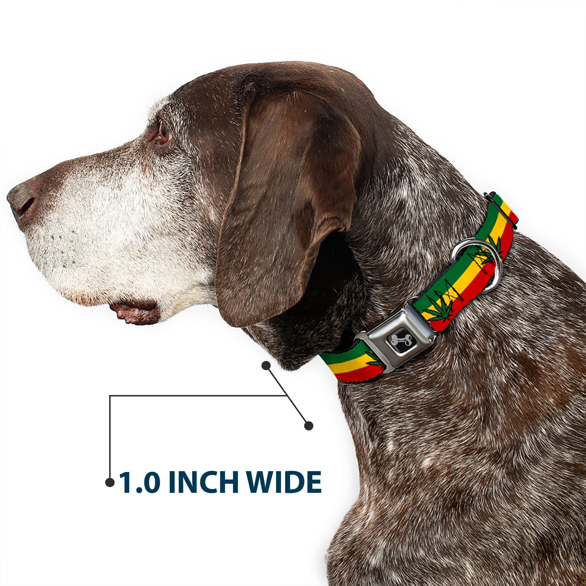 Buckle-Down Seatbelt Buckle Dog Collar - Marijuana Leaf Repeat Rasta