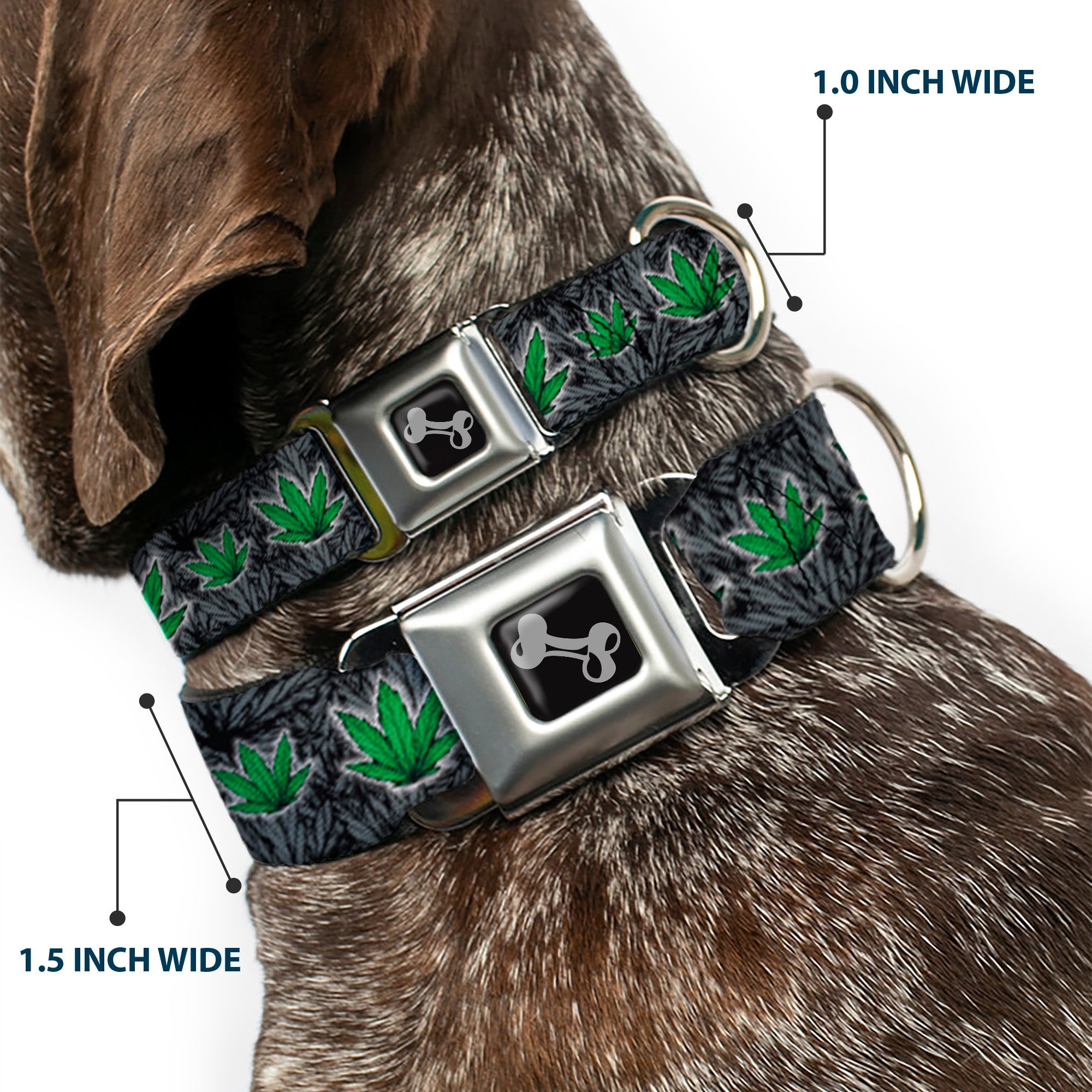 Buckle-Down Seatbelt Buckle Dog Collar - Marijuana Haze Black