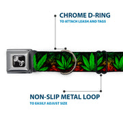 Buckle-Down Seatbelt Buckle Dog Collar - Marijuana Haze Rasta/Black