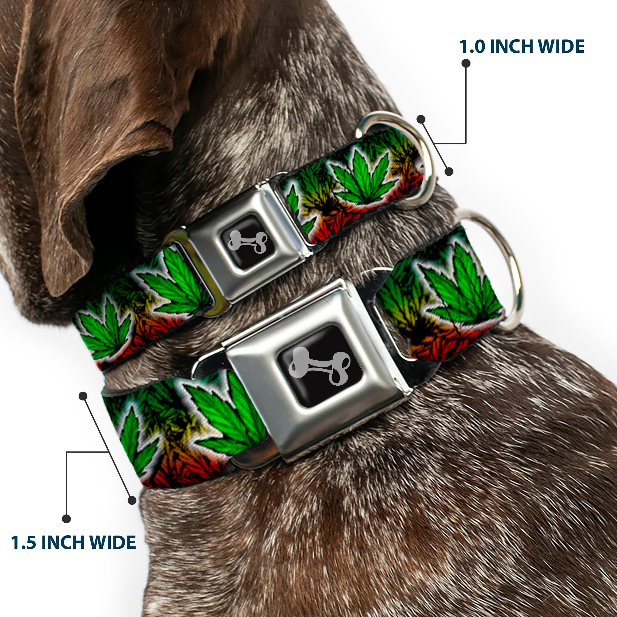 Buckle-Down Seatbelt Buckle Dog Collar - Marijuana Haze Rasta/White