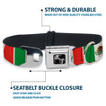 Load image into Gallery viewer, Dog Bone Seatbelt Buckle Collar - Mexico Flags
