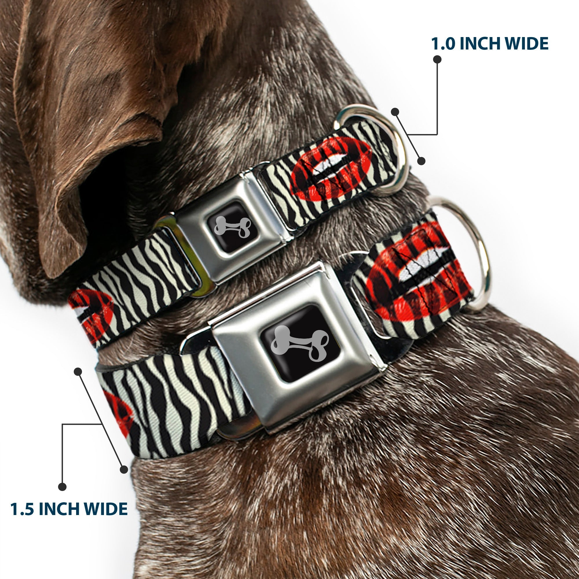 Dog Bone Seatbelt Buckle Collar - Mouth Zebra
