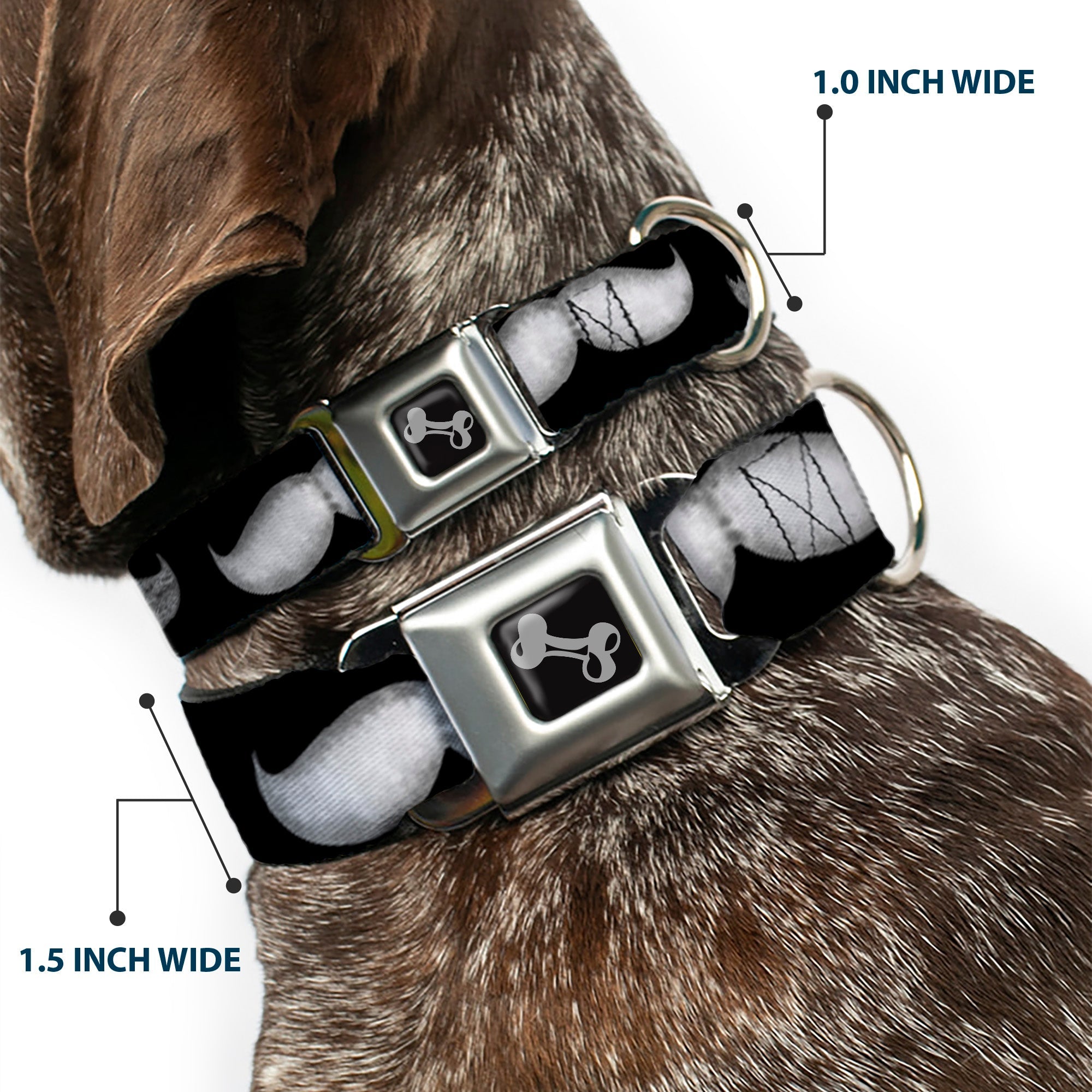 Dog Bone Seatbelt Buckle Collar - Mustaches Black/Sketch