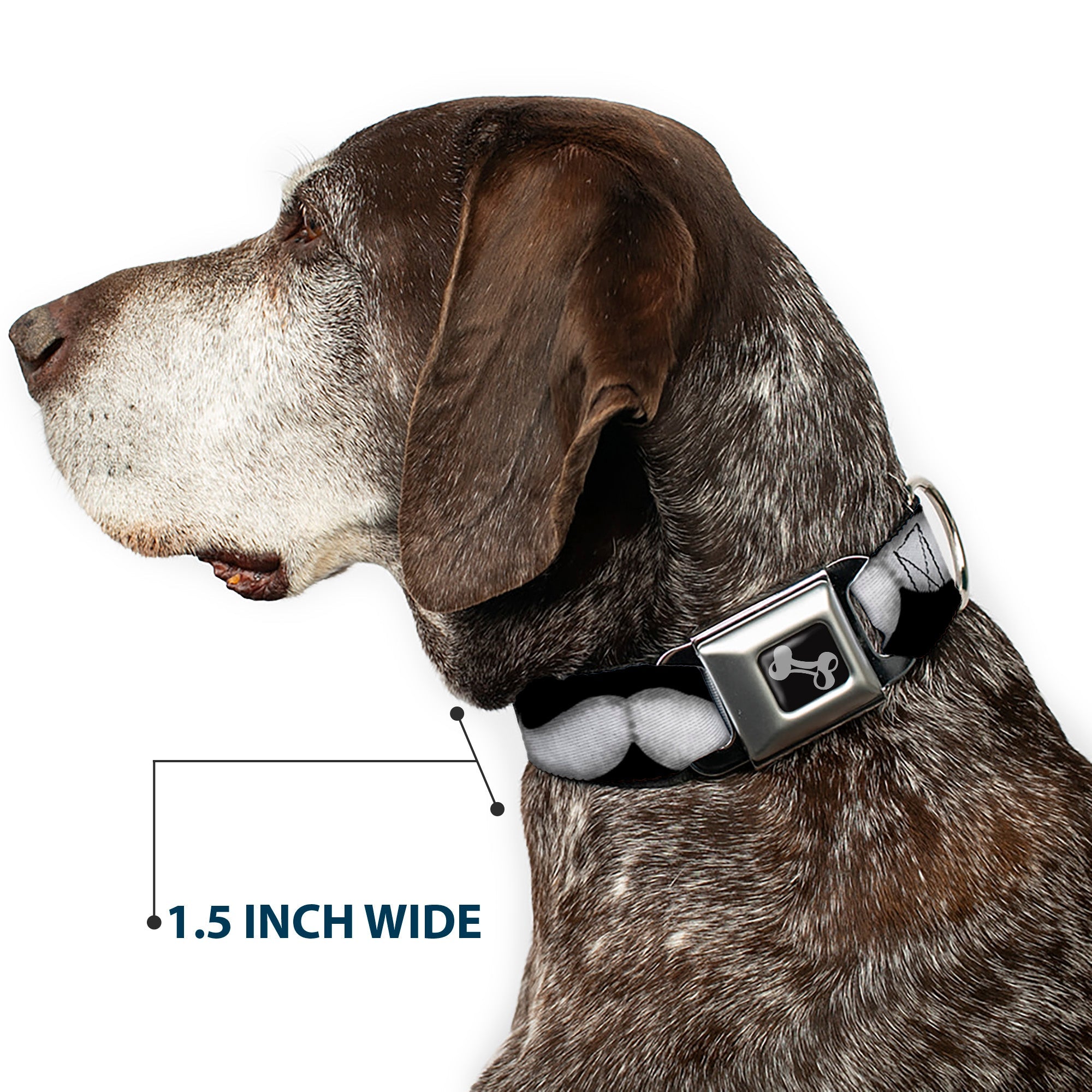Dog Bone Seatbelt Buckle Collar - Mustaches Black/Sketch