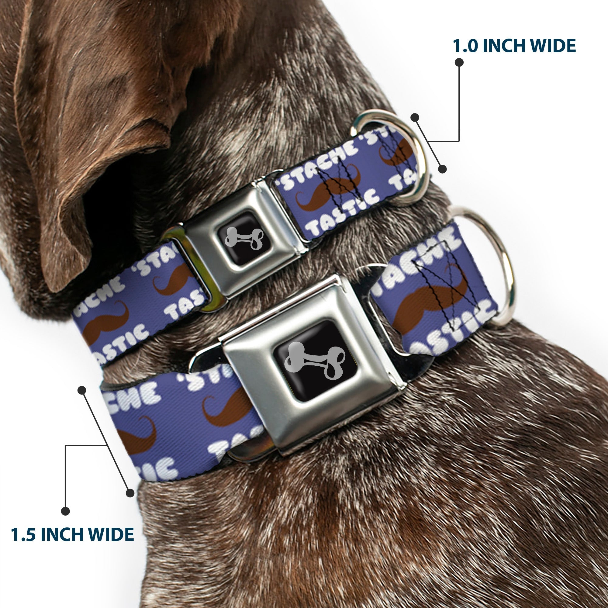 Dog Bone Seatbelt Buckle Collar - Mustache 'Stache-Tastic