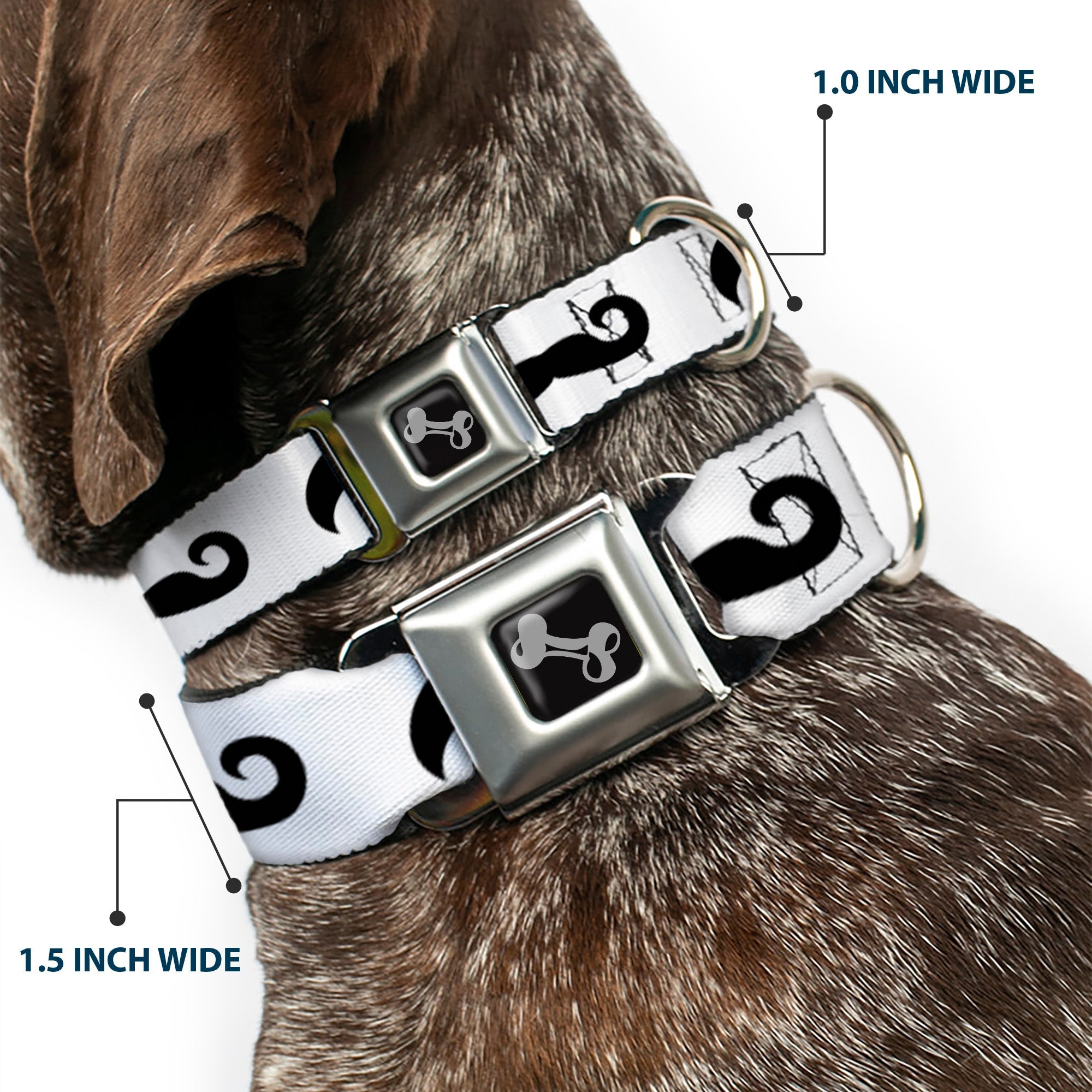 Dog Bone Seatbelt Buckle Collar - Mustaches Straight White/Black