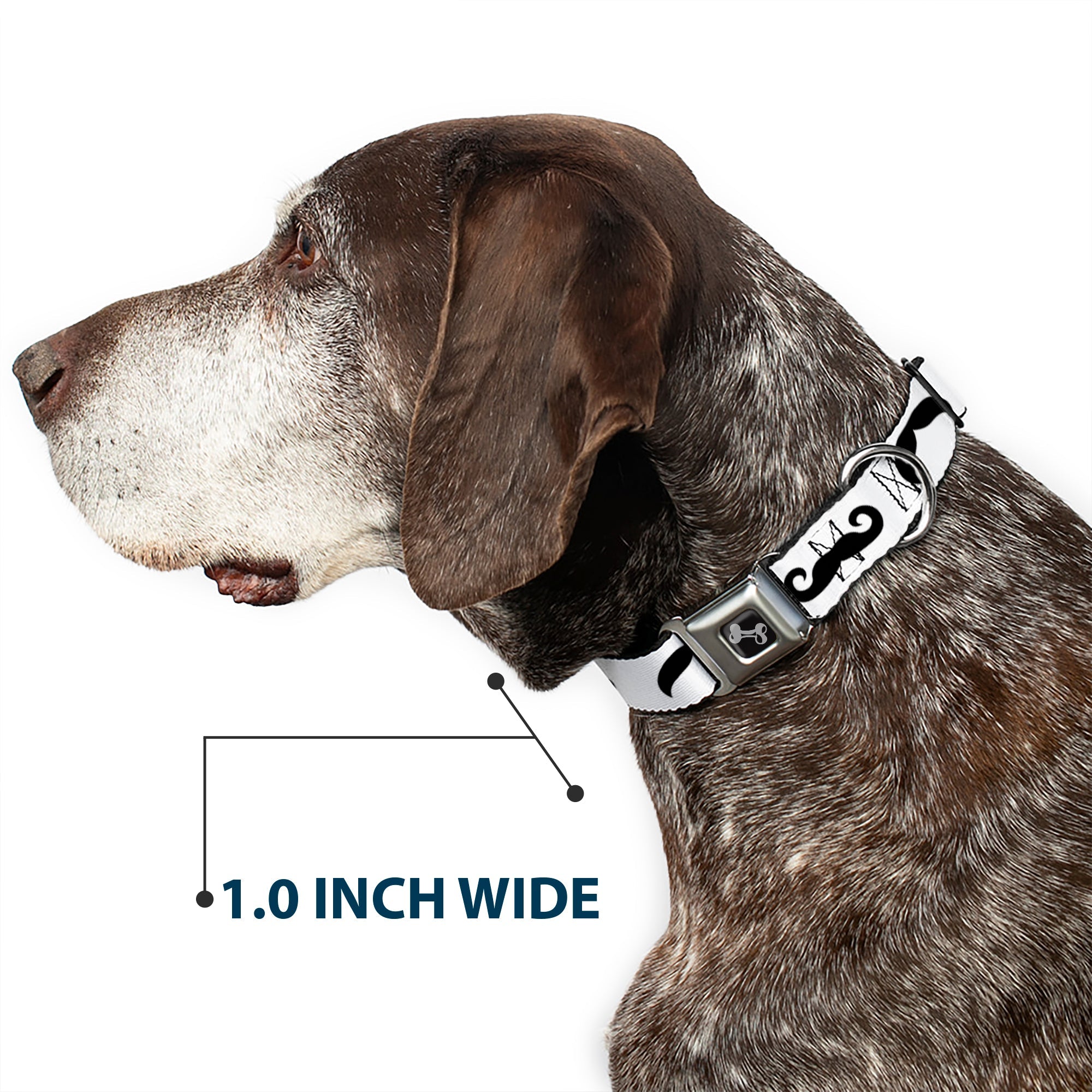 Dog Bone Seatbelt Buckle Collar - Mustaches Straight White/Black