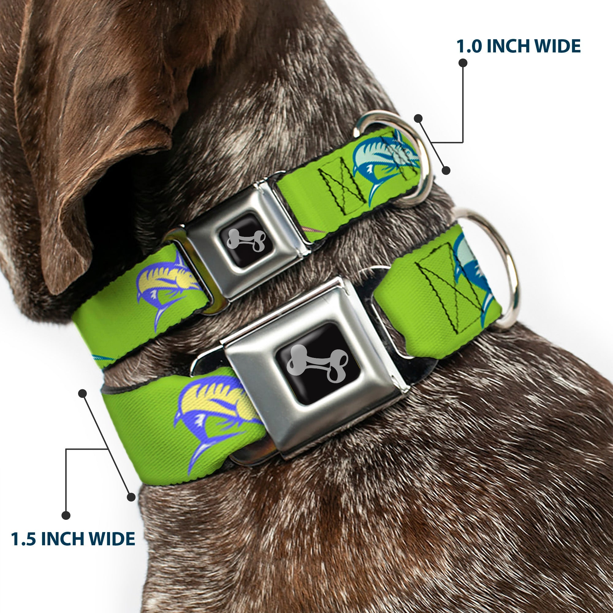 Dog Bone Seatbelt Buckle Collar - Marlin Green/Multi Color