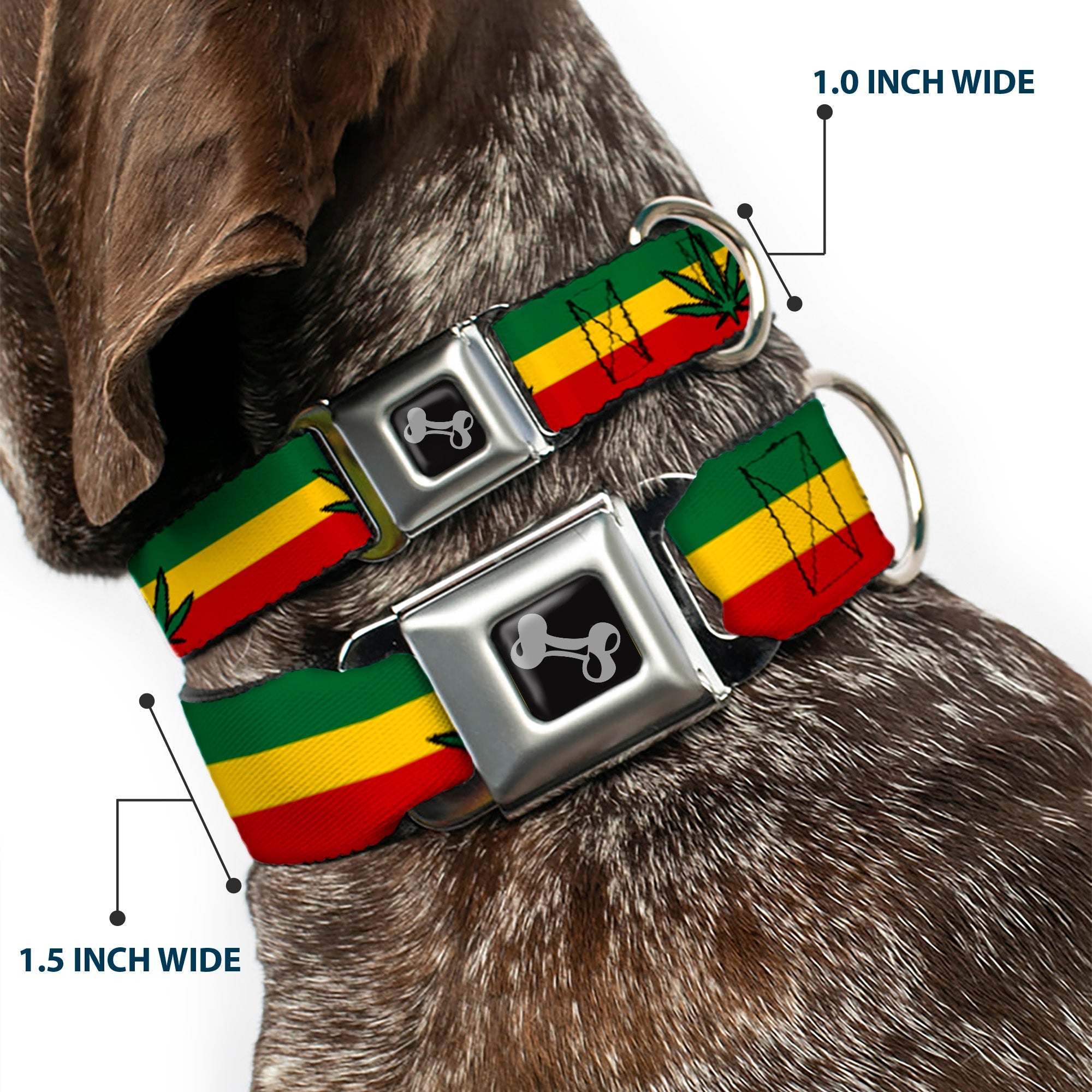 Dog Bone Seatbelt Buckle Collar - Mustache Trio White/Black