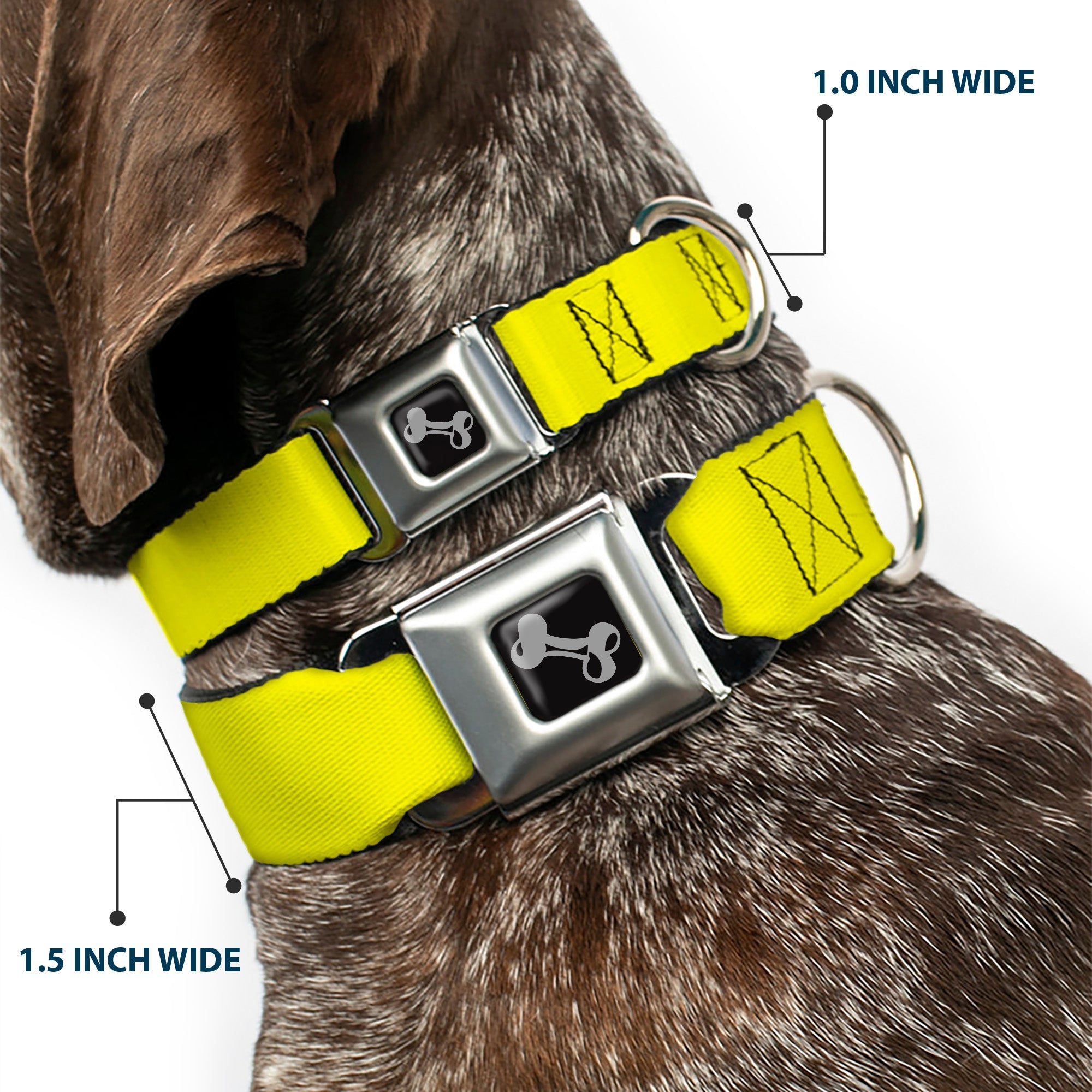 Dog Bone Seatbelt Buckle Collar - Neon Yellow