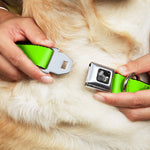 Dog Bone Seatbelt Buckle Collar - Neon Green