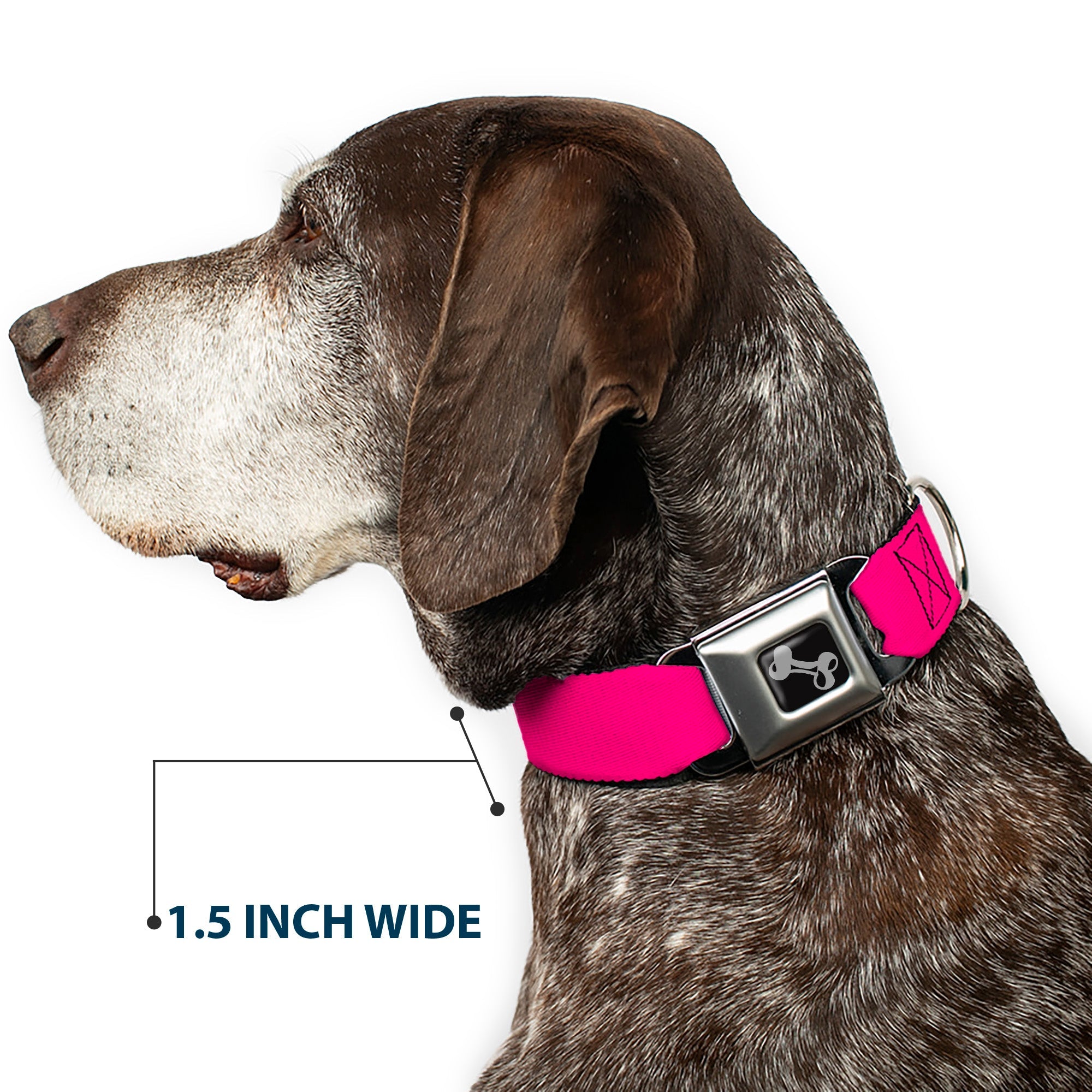 Dog Bone Seatbelt Buckle Collar - Neon Pink Print