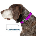 Load image into Gallery viewer, Dog Bone Seatbelt Buckle Collar - Neon Purple
