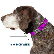 Dog Bone Seatbelt Buckle Collar - Neon Purple
