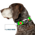 Load image into Gallery viewer, Dog Bone Seatbelt Buckle Collar - Nautical Flags Green/Multi Color
